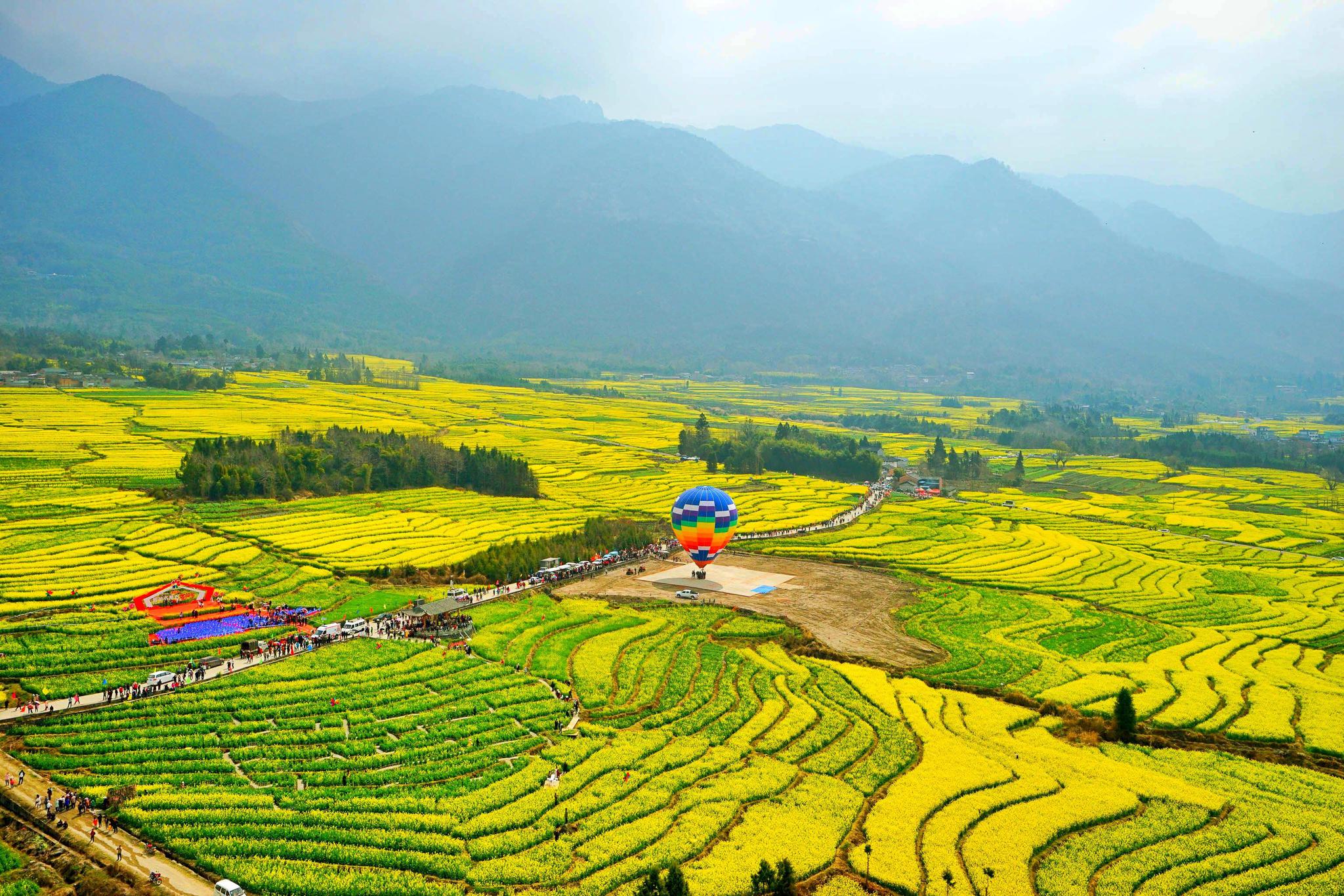全国各地都在举办油菜花节 云南腾冲高黎贡花海节为何能脱颖而出
