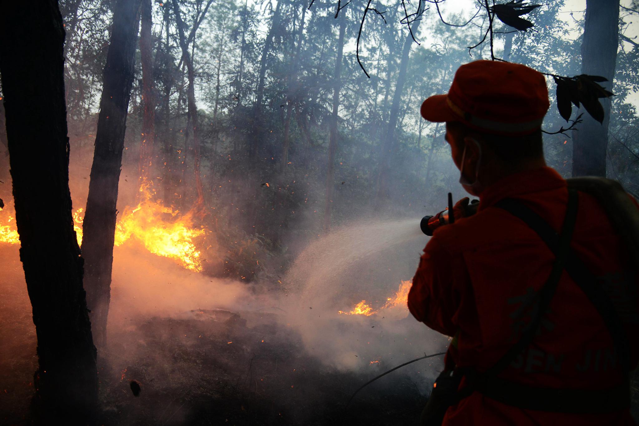四川自贡发生森林火灾 空地协同紧急扑救