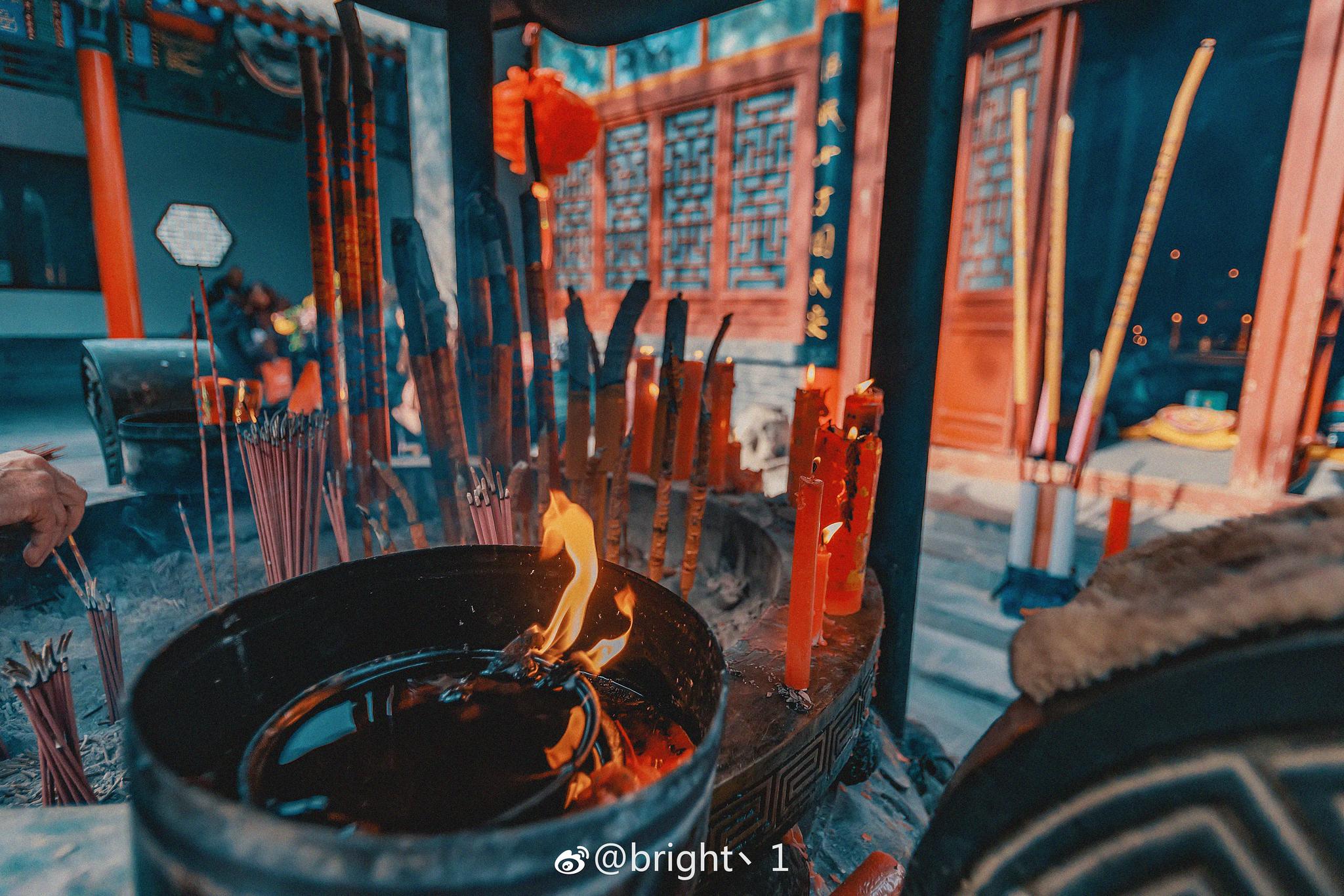 长安陌上无穷树