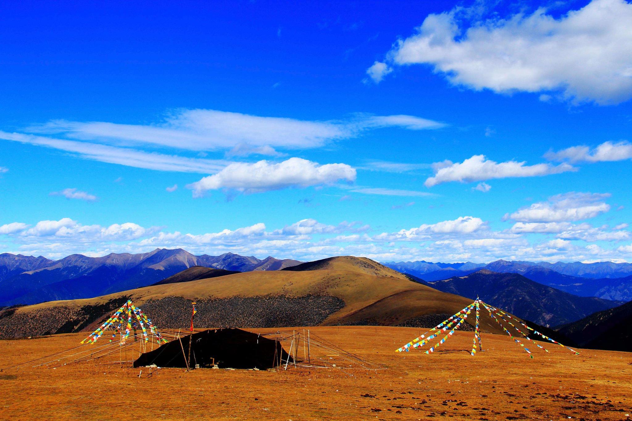 5-7个人走318川藏线包车用什么车型好?需要多少钱?