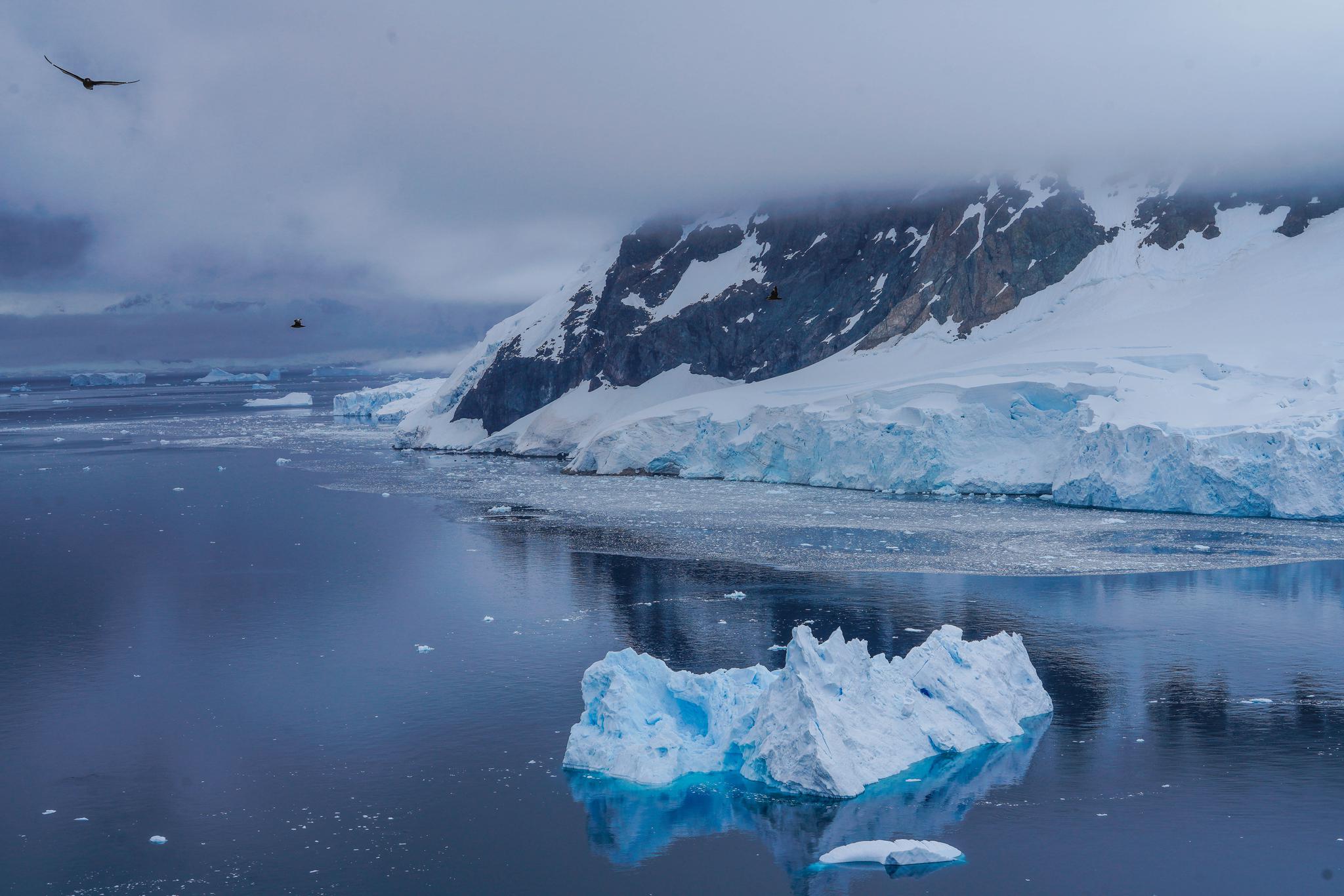 南极:有这样一种美,能够让你忘掉生活的所有烦恼