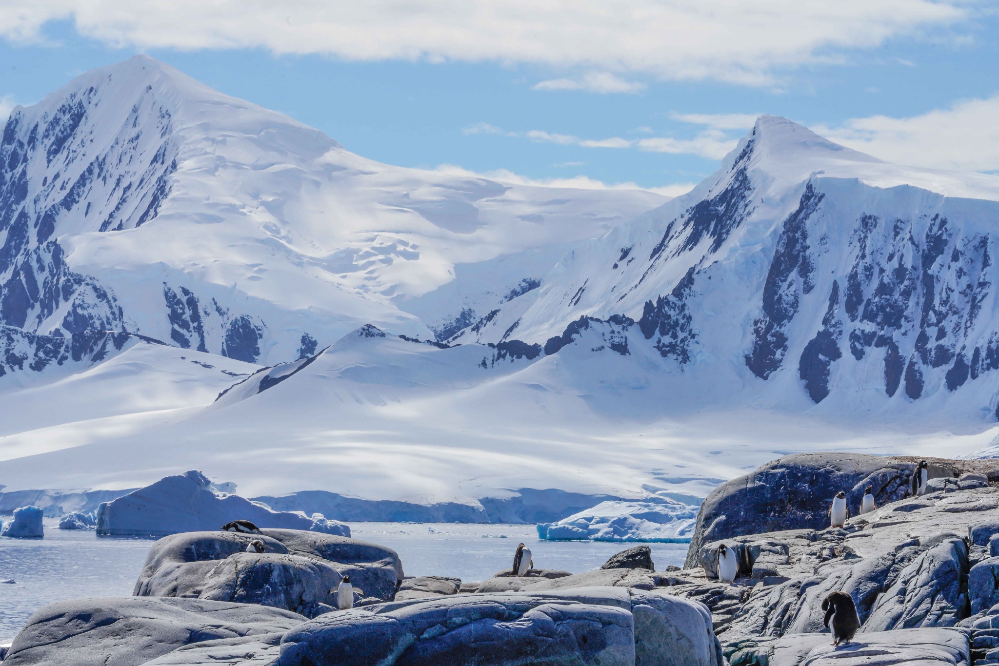 23天南极三岛南极圈终极探险之旅
