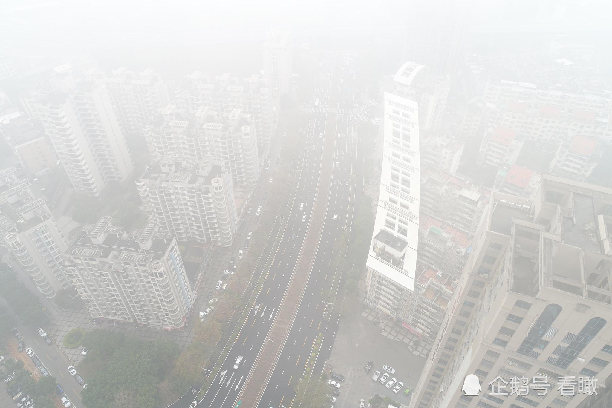 福建大雾起春雷响,雾里看城如空中楼阁|春雷|大雾|空中楼阁_新浪新闻