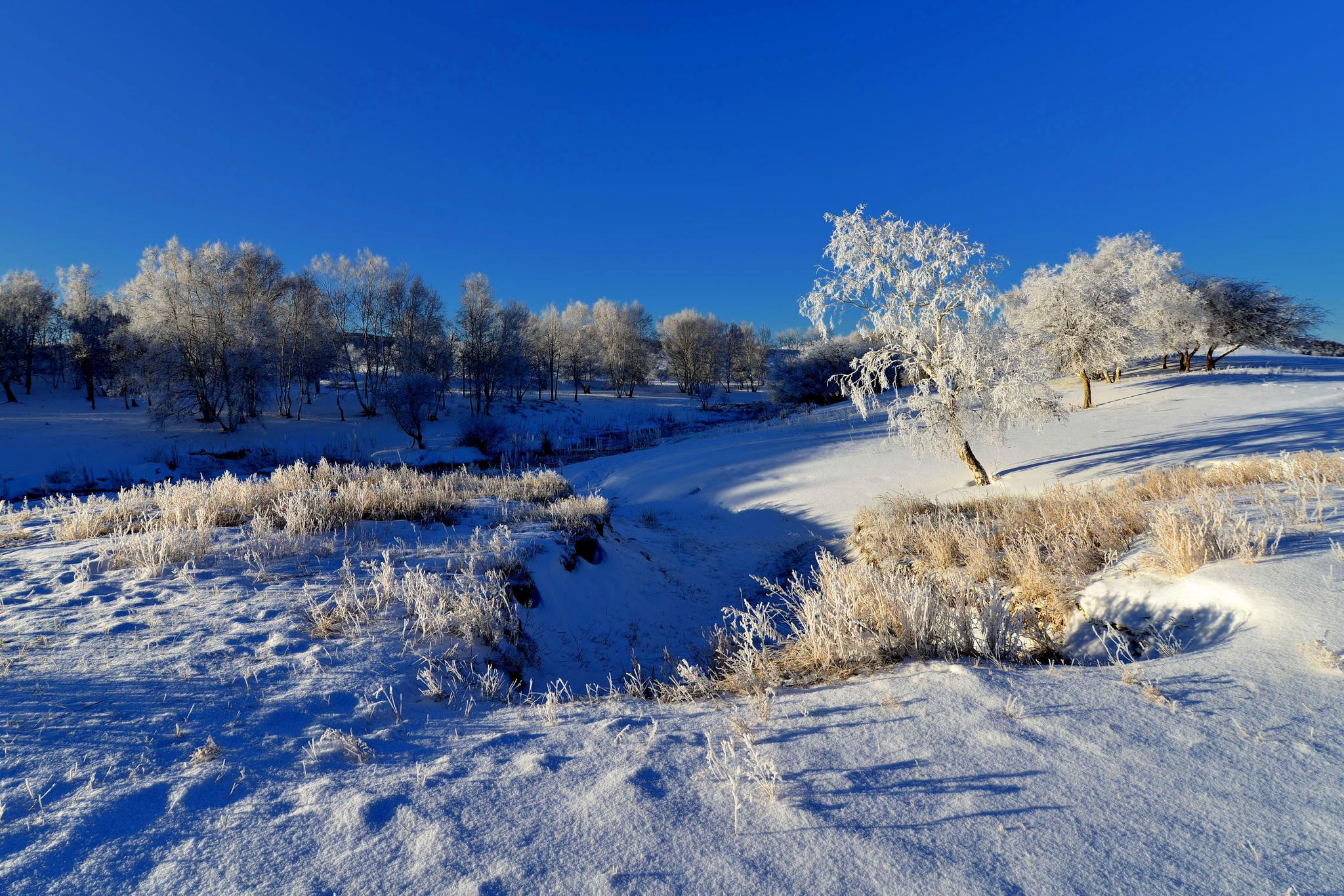 初春的雪后坝上岂是一个美字了得