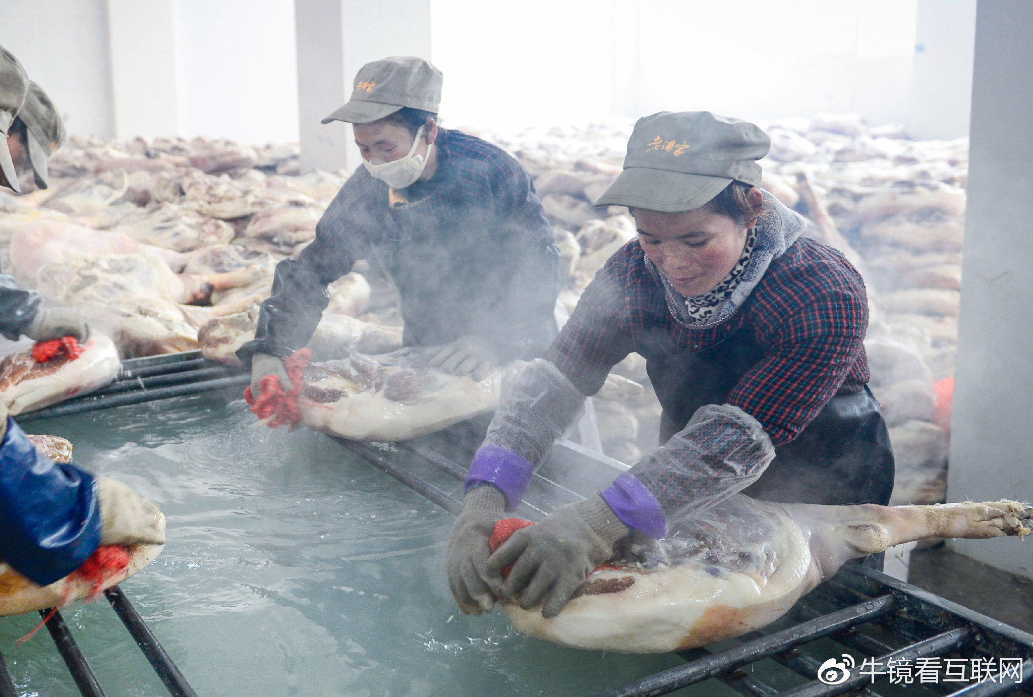 组装情趣用品,绑螃蟹,腌制火腿 摄影师记录流水线上的女性