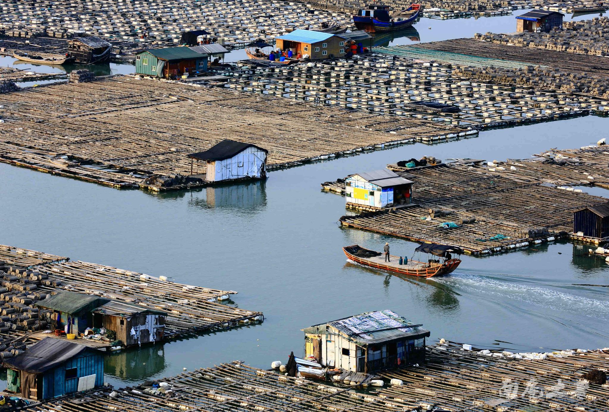霞浦海上渔村被誉为中国的威尼斯|海上渔村|霞浦|威尼斯_新浪新闻