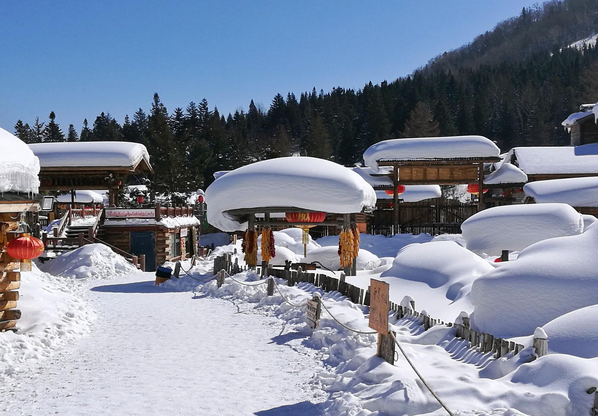 清晨的雪乡格外迷人，和煦的阳光，厚厚的积雪。_新浪新闻