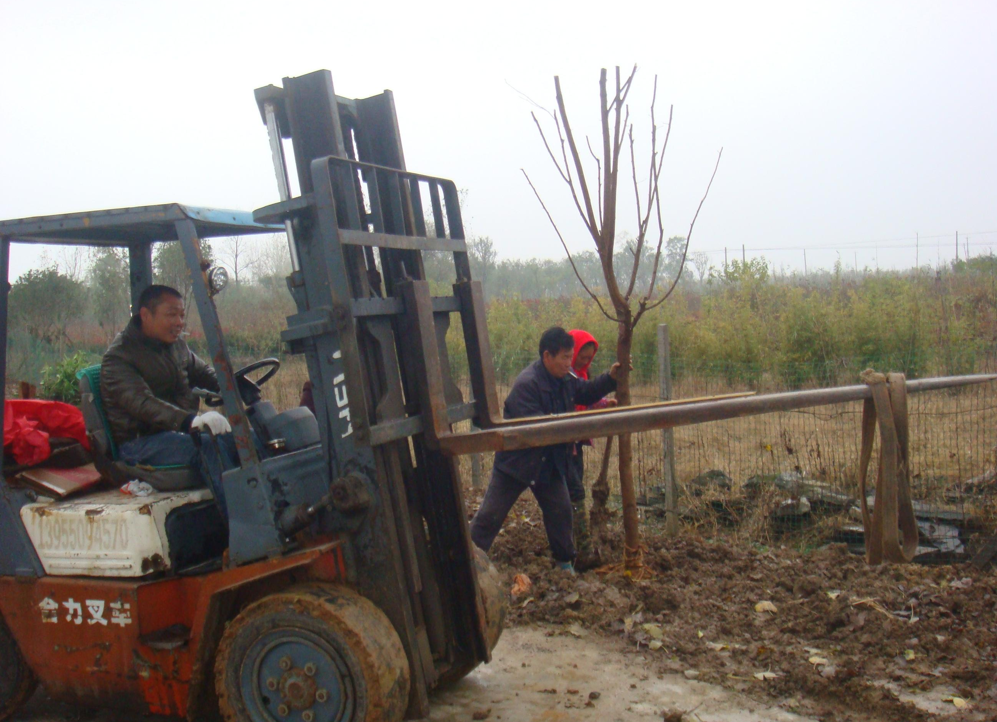 农村房屋被认定违建就将会被拆除?这几点农民