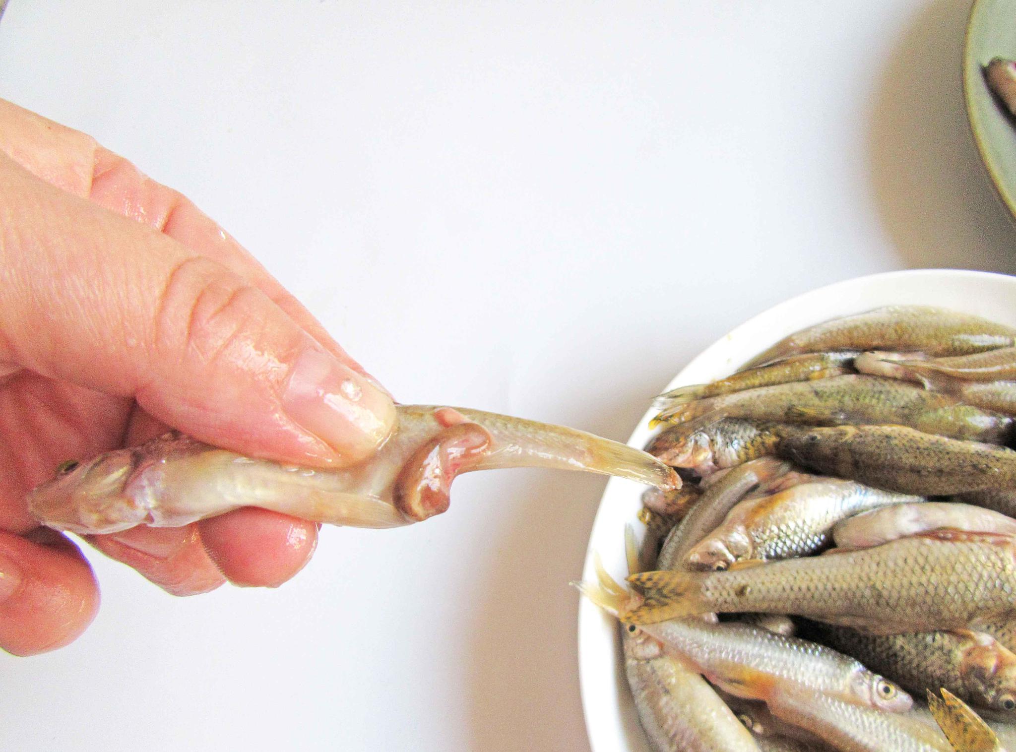 这种小鱼全是肉,买一斤5块钱给老公做了下酒菜,饭店要四十块钱