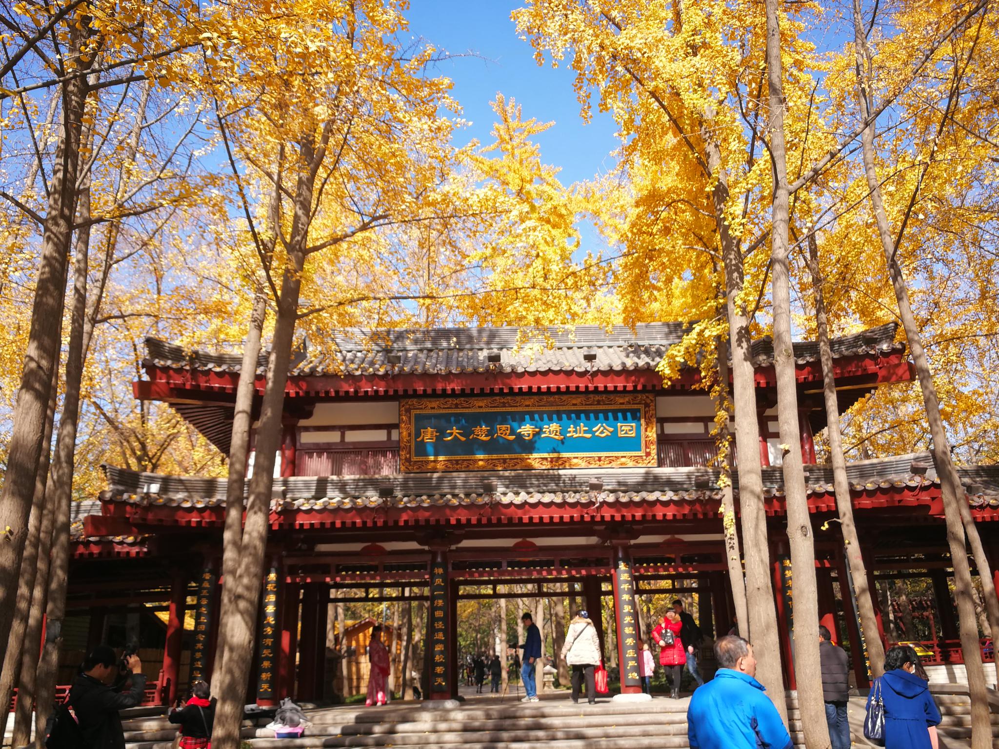 唐大慈恩寺遗址公园秋景图集