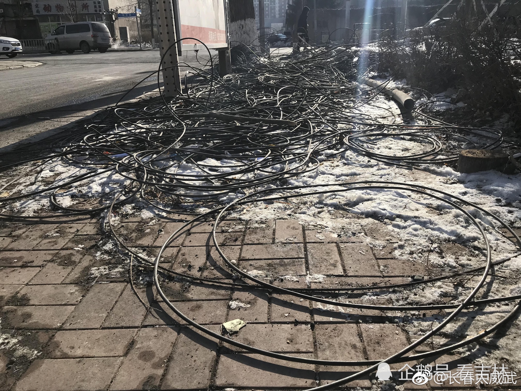 长春:电缆占据人行道 似一团乱麻
