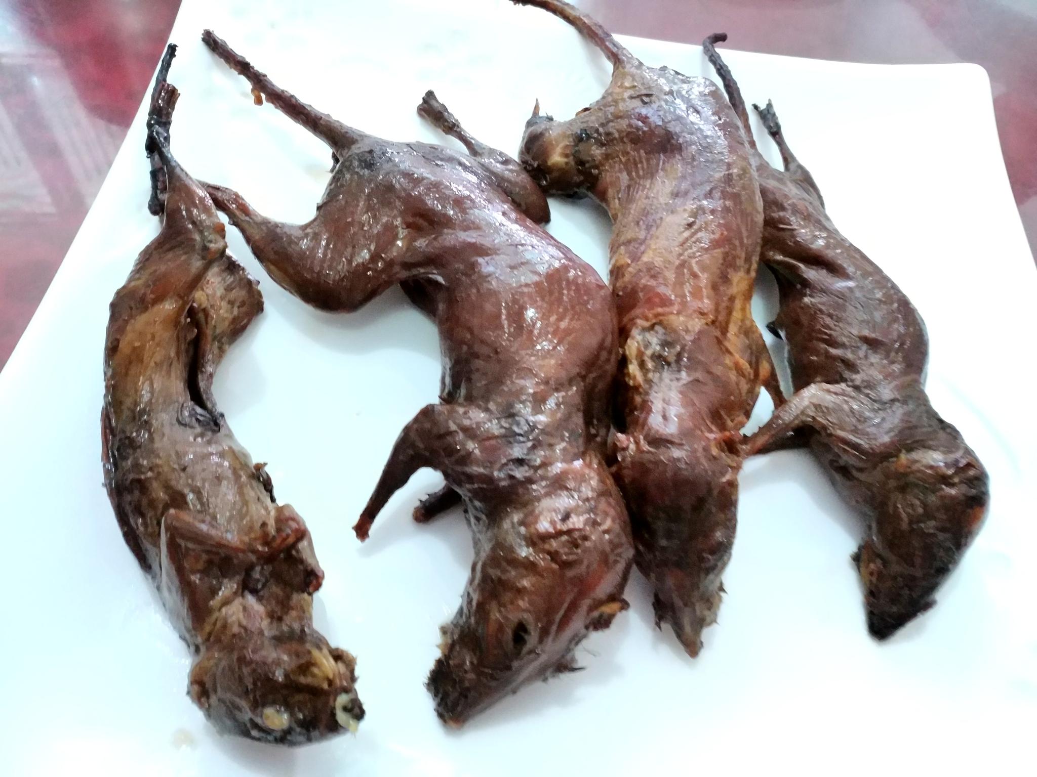 你信老鼠是特色美食吗而且还能治小孩尿床