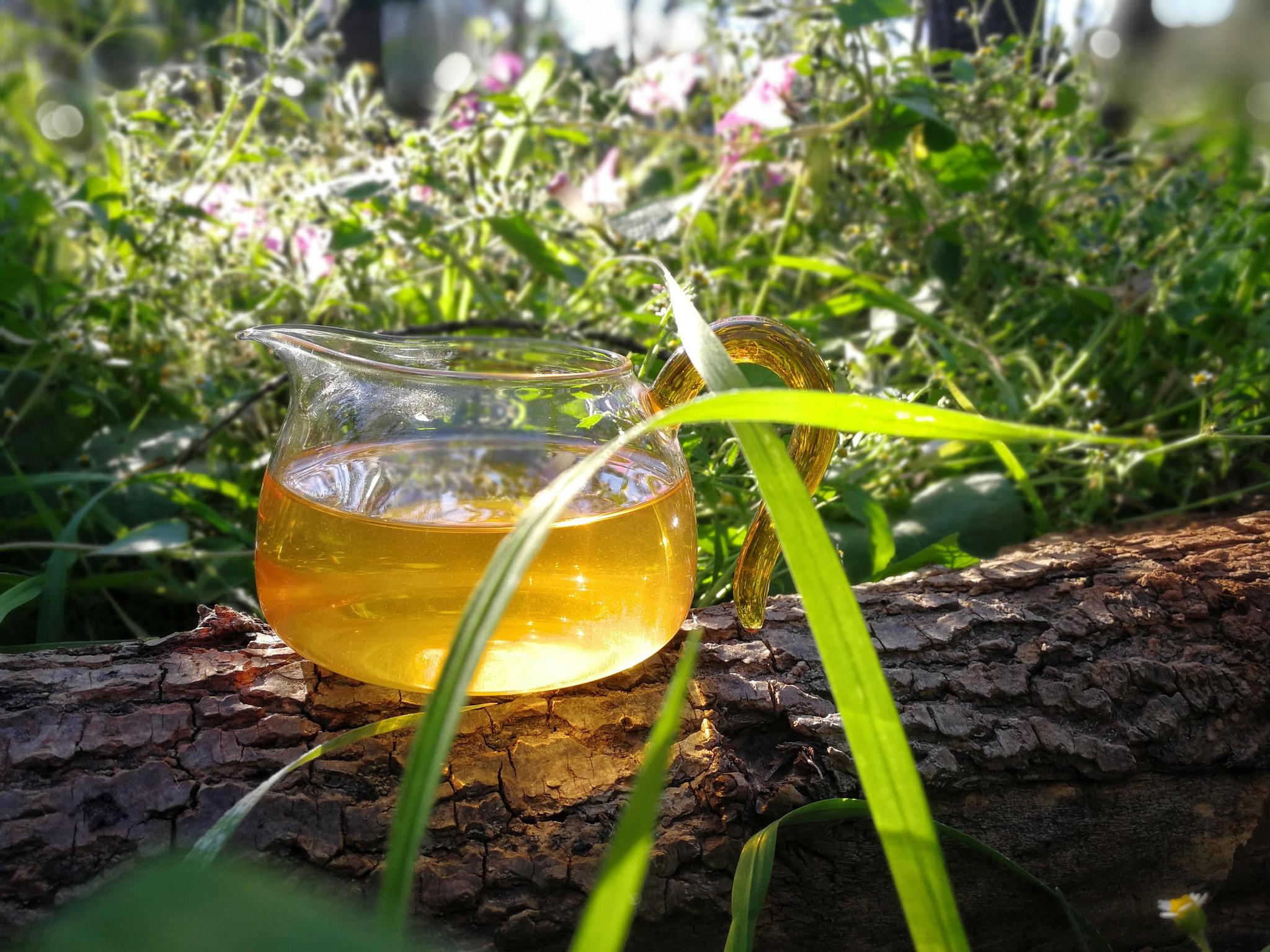 苦涩|关系|品质_新浪新闻