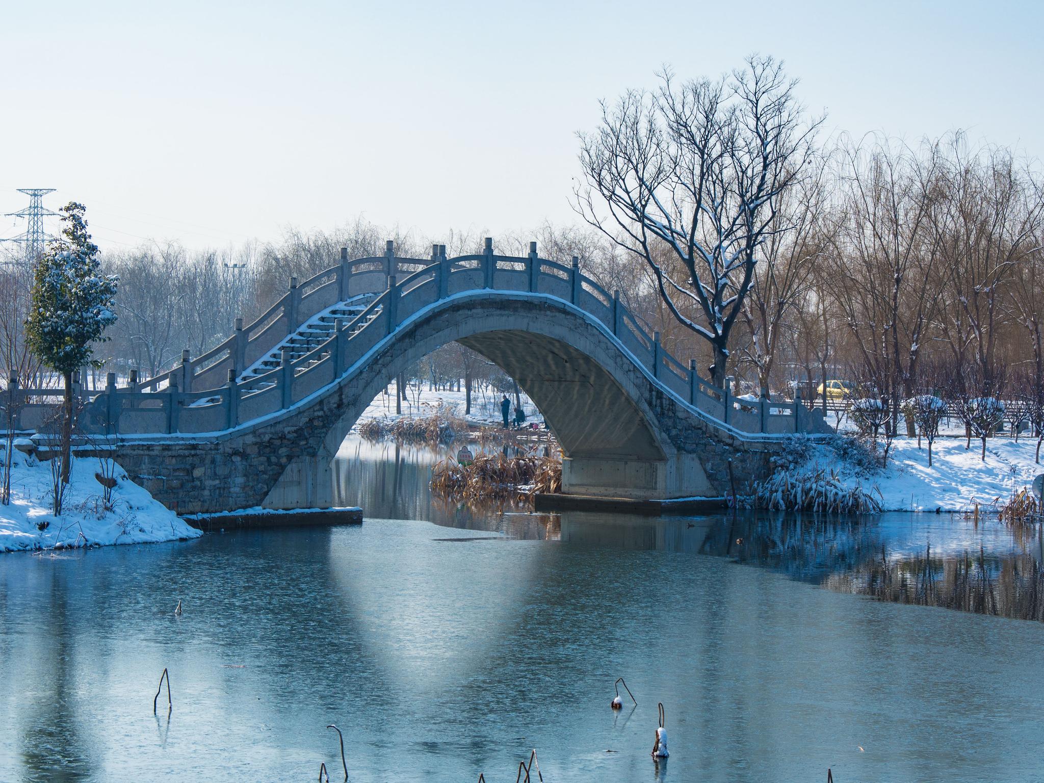 雪后的滕州北辛植物园