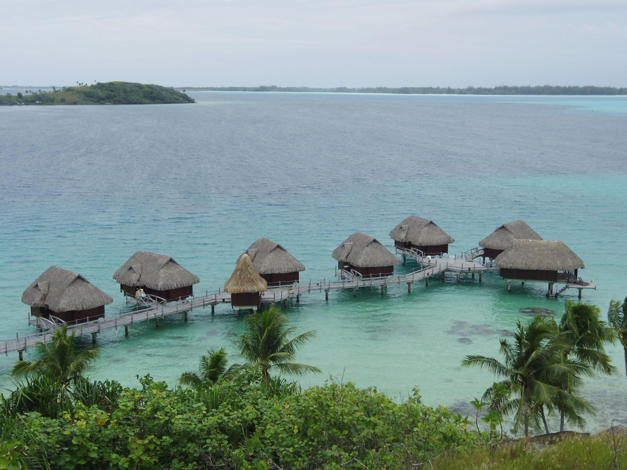 波利尼西亚群岛上生活着142万人,除图瓦卢,西萨摩亚和汤加已独立,库克