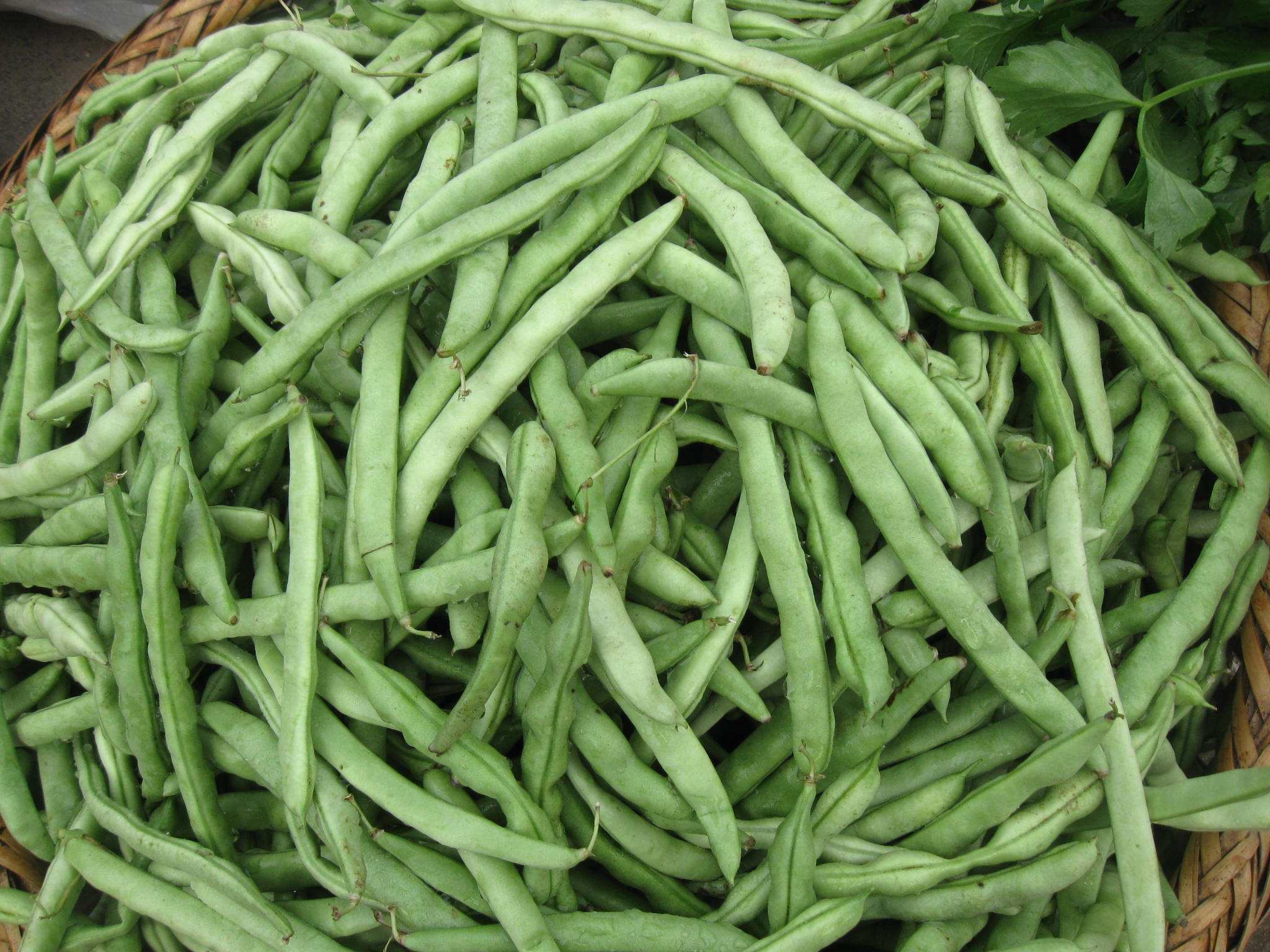 这4种蔬菜白给也不要吃了,吃了肯定出事,赶紧告诉家人!