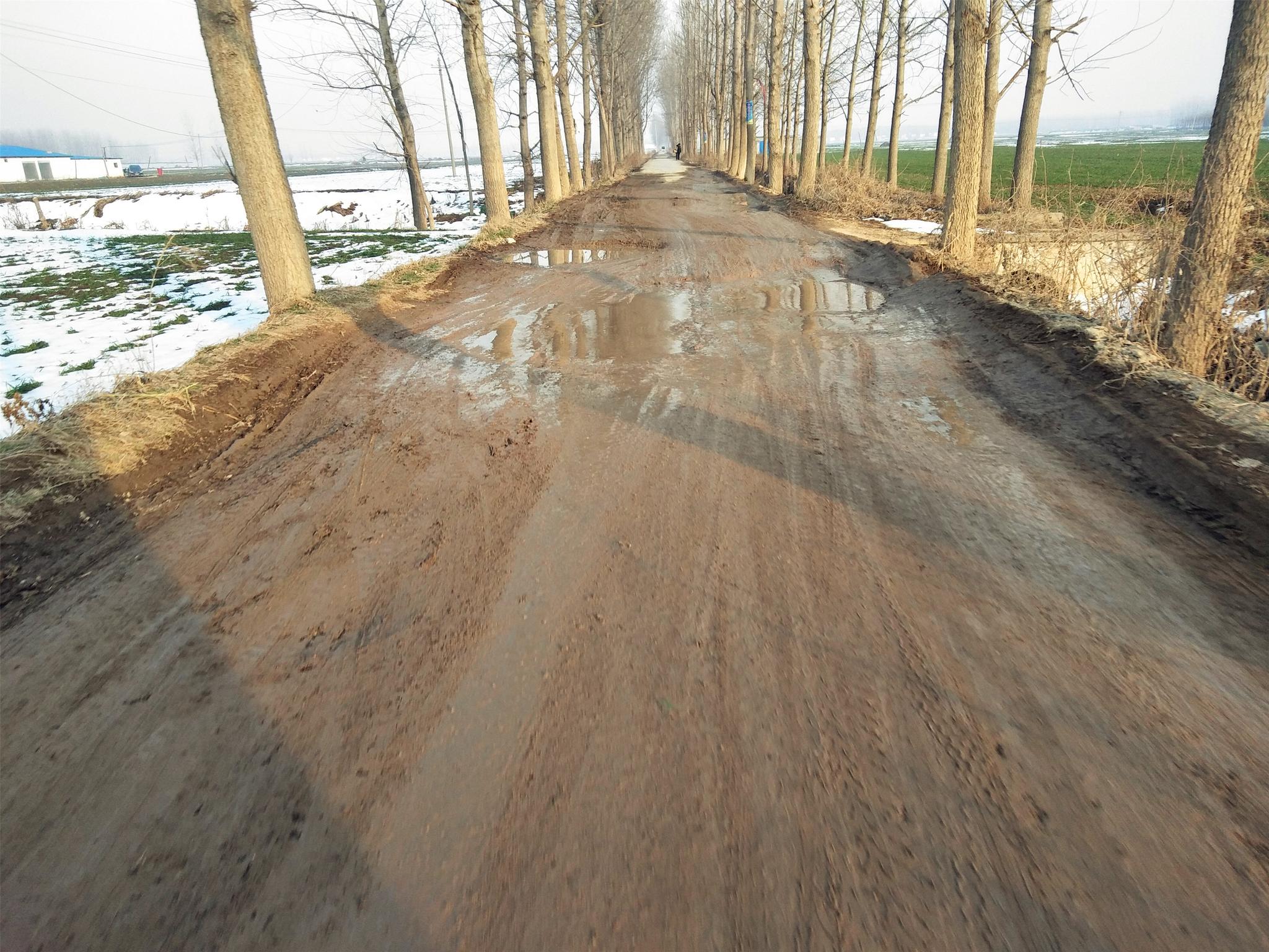 周口女子因道路泥泞拒绝结婚,称啥时候修好路再结