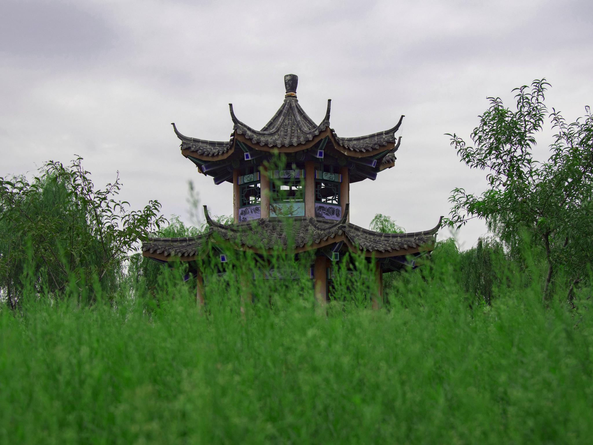 秀美荆河,上善公园夏日