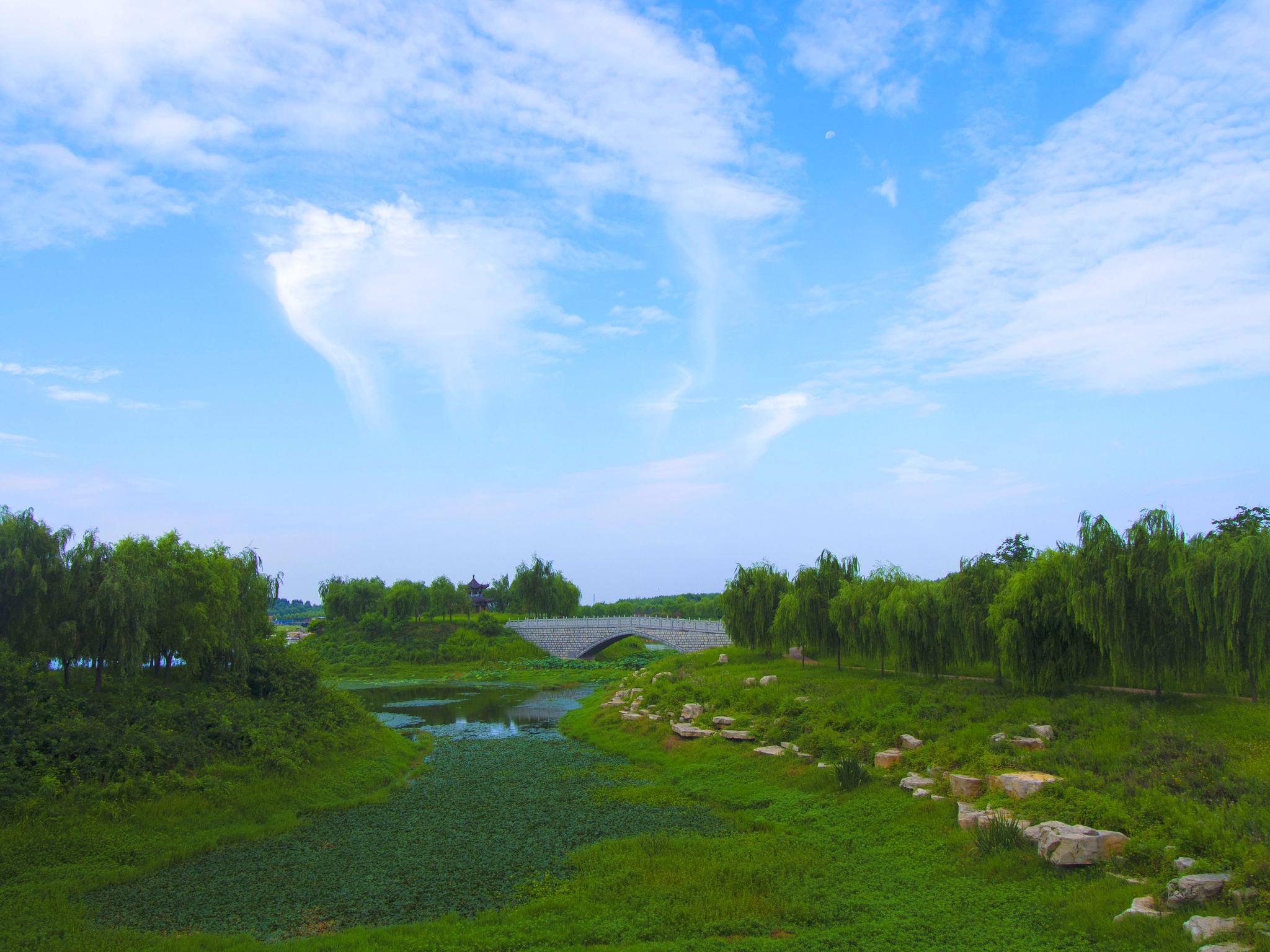 秀美荆河,上善公园夏日