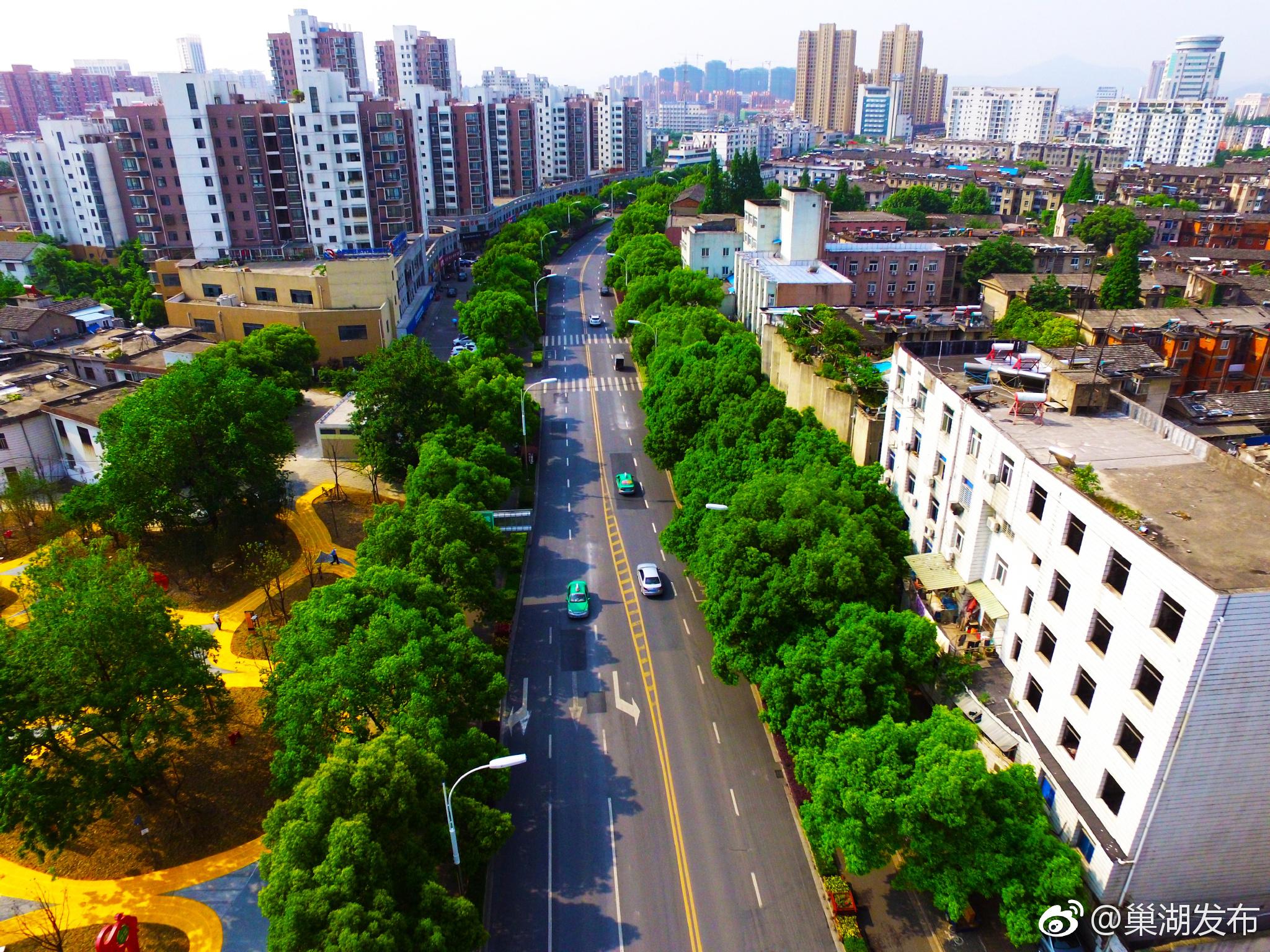 巢湖市投入1亿元建设22个林长制项目