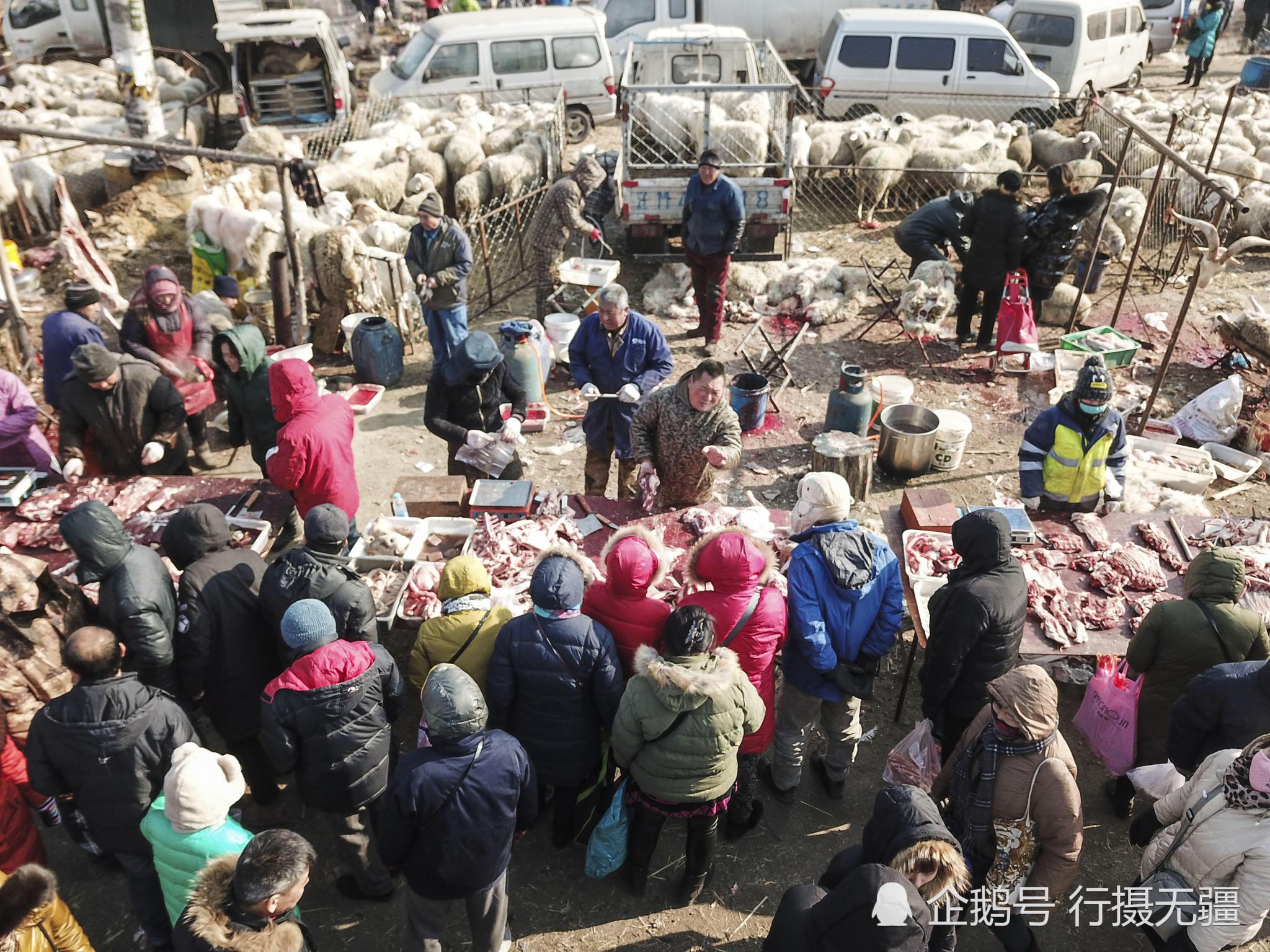 沈阳百年农村大集火爆如春运 年前再现采购潮|春运|大集|蒲河_新浪