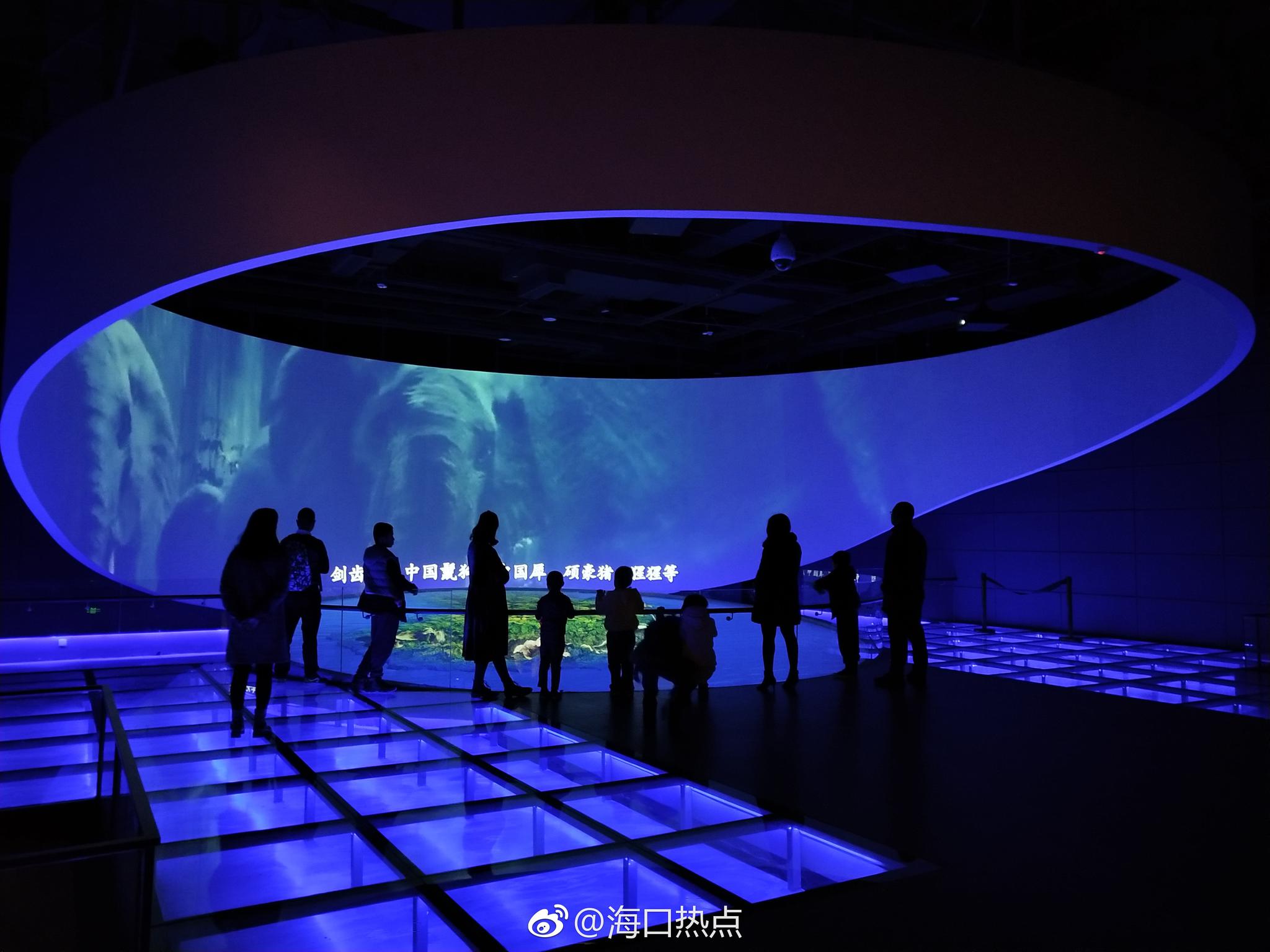 海南省博物馆全面开馆展现绝美自然瑰宝绽放千年文化之魅