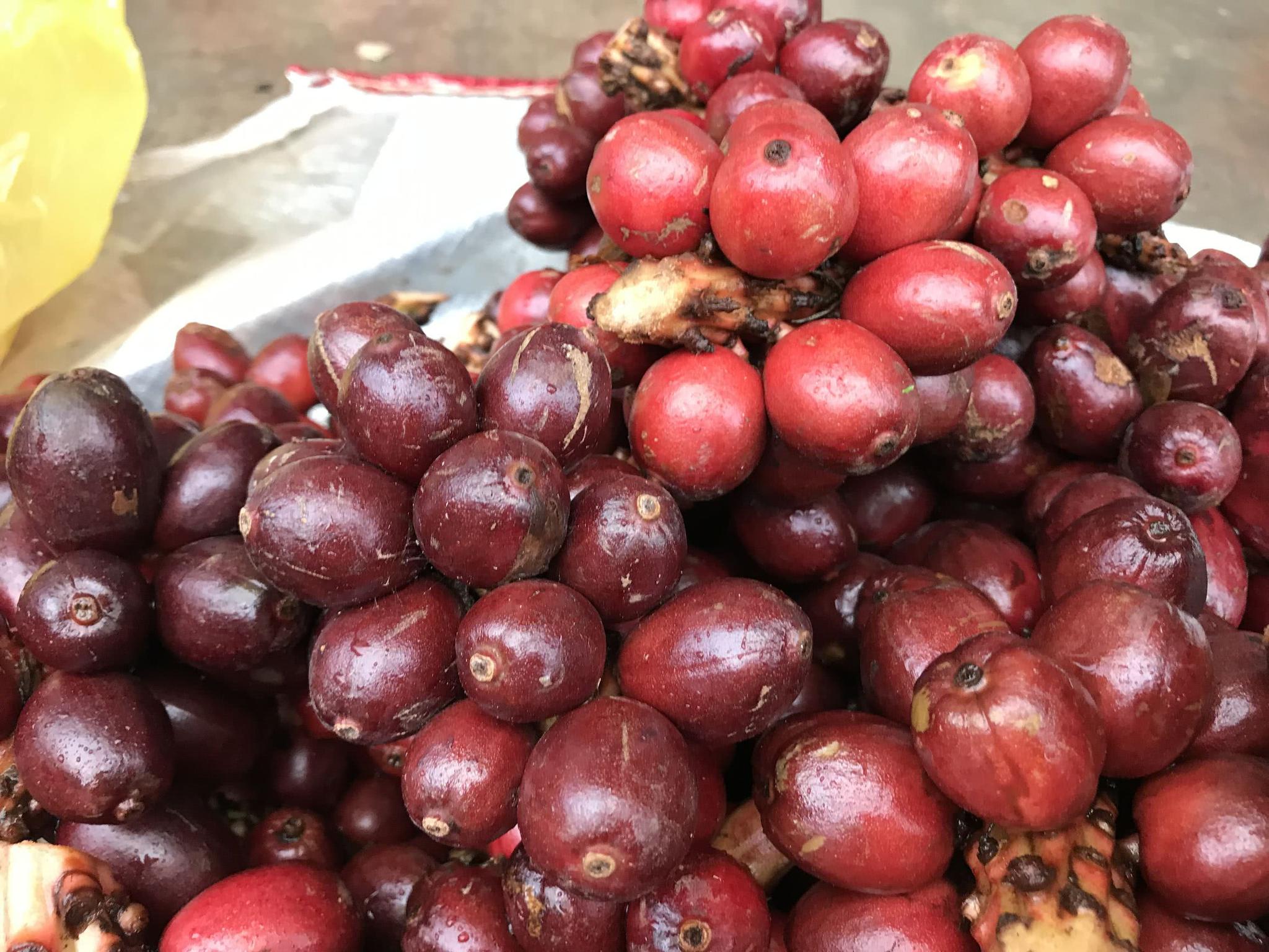 街边遇到卖野果的农民看着这野果很是新奇可却不让我生吃