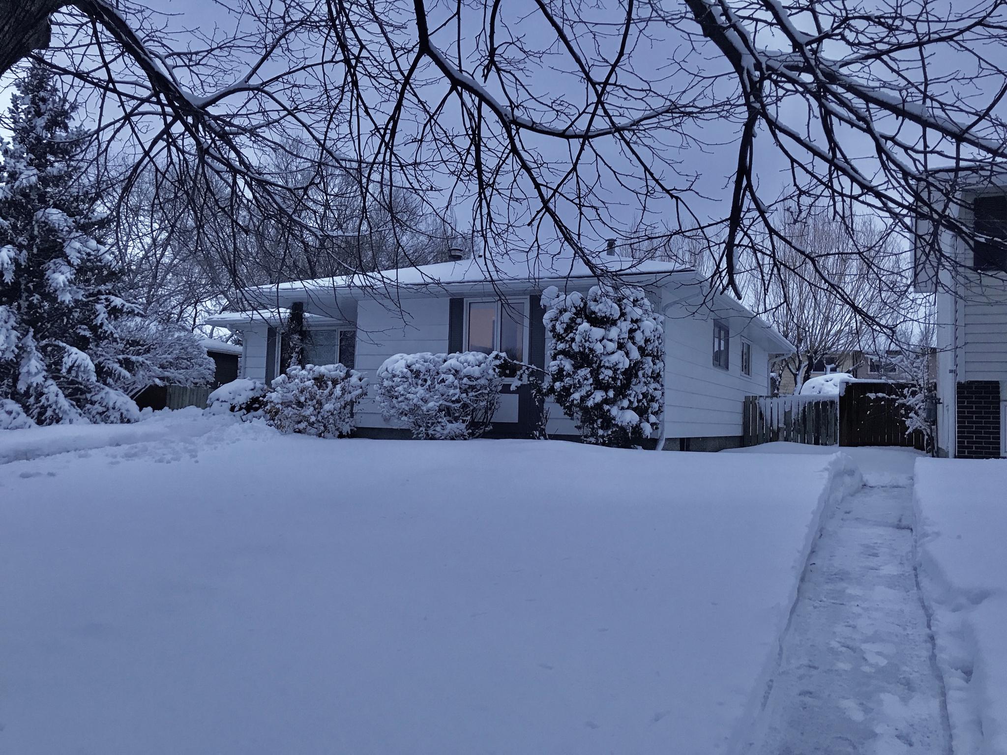 7615暴风雪过后的加拿大,真的超级美
