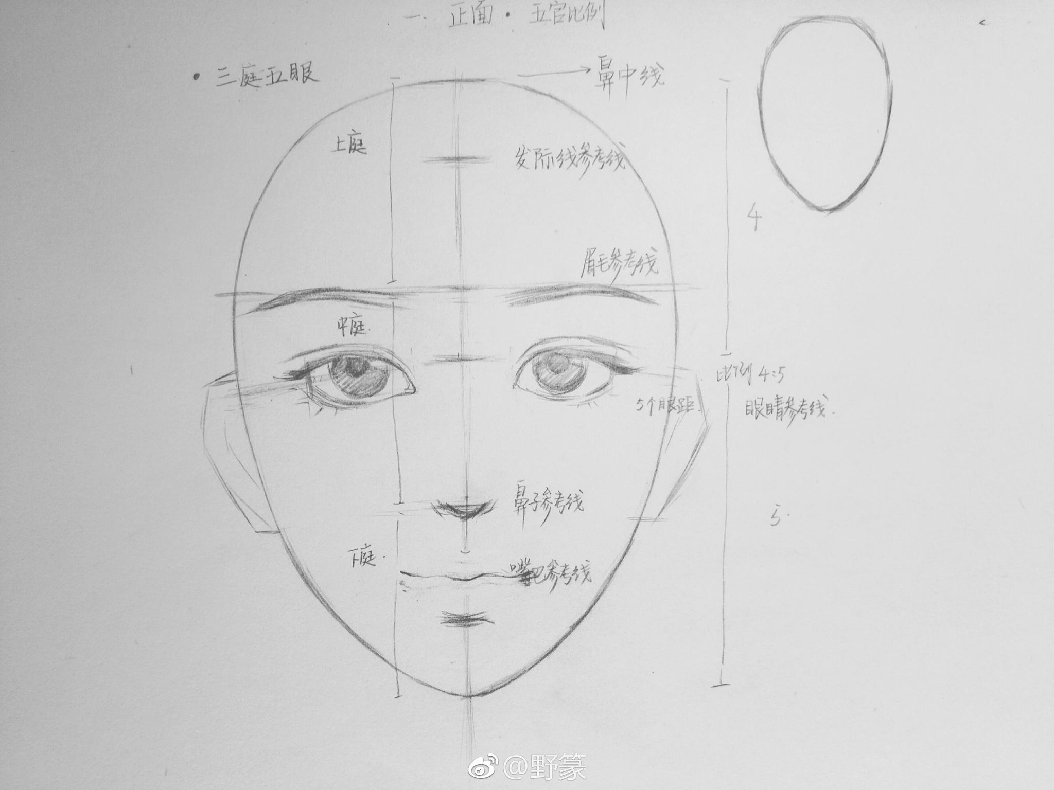 总结一些五官结构和男生女生常用眼睛和眉毛~ 作者（|男生女生|眉毛|五官_新浪新闻
