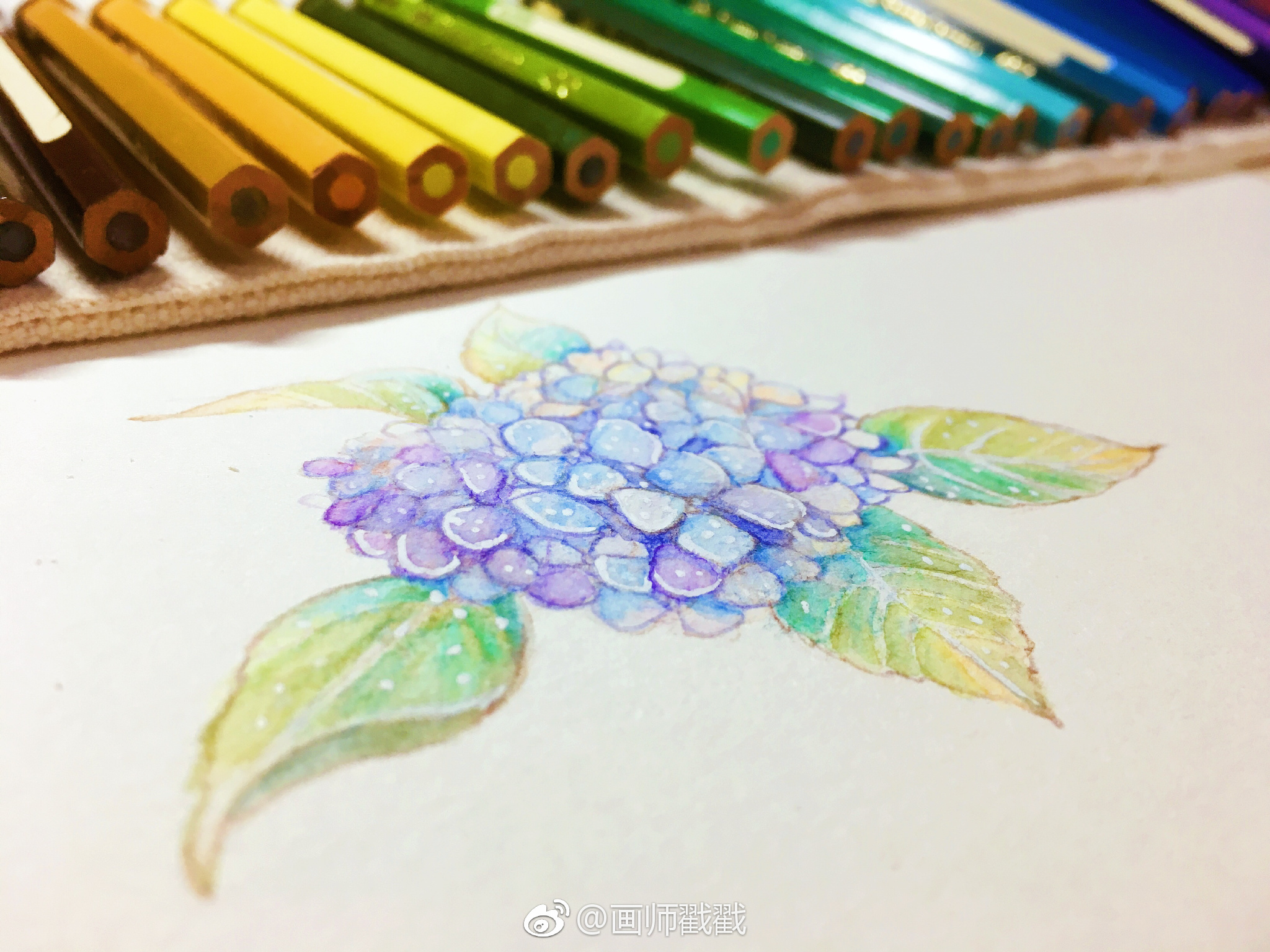 有木有喜欢用水溶彩铅画小花朵的小画家