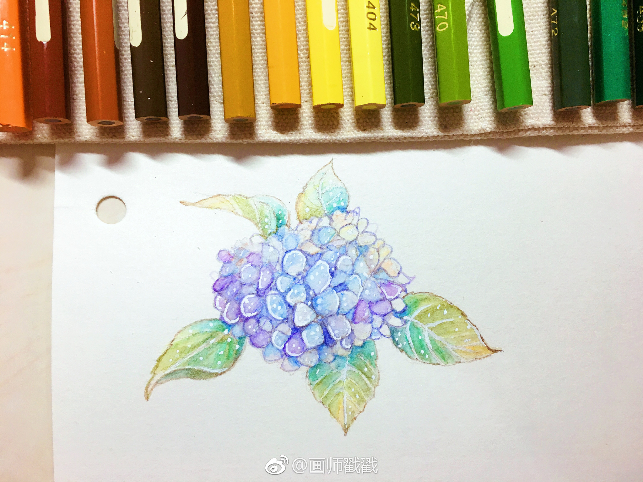 有木有喜欢用水溶彩铅画小花朵的小画家