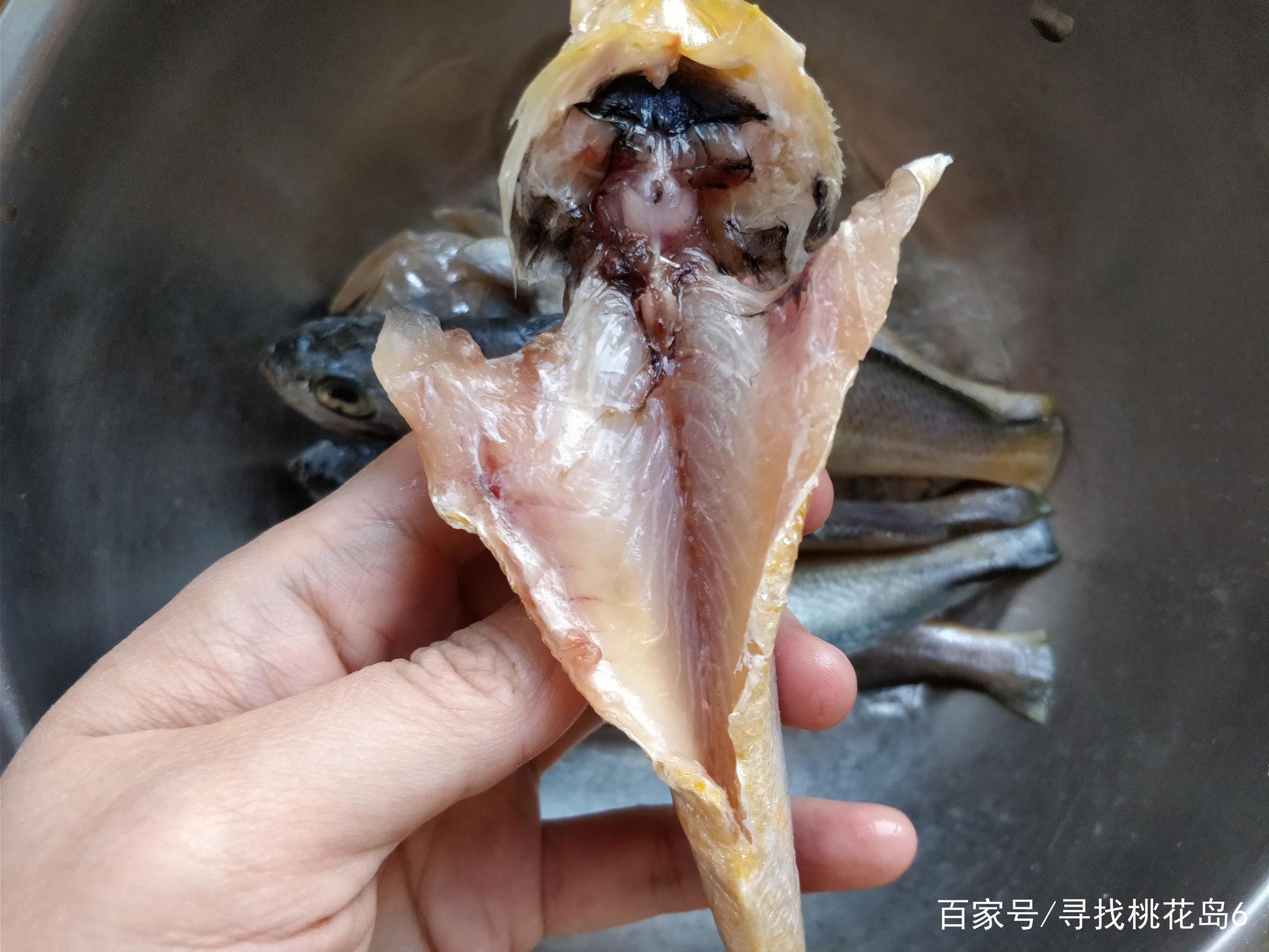 黄花鱼鱼肝图片