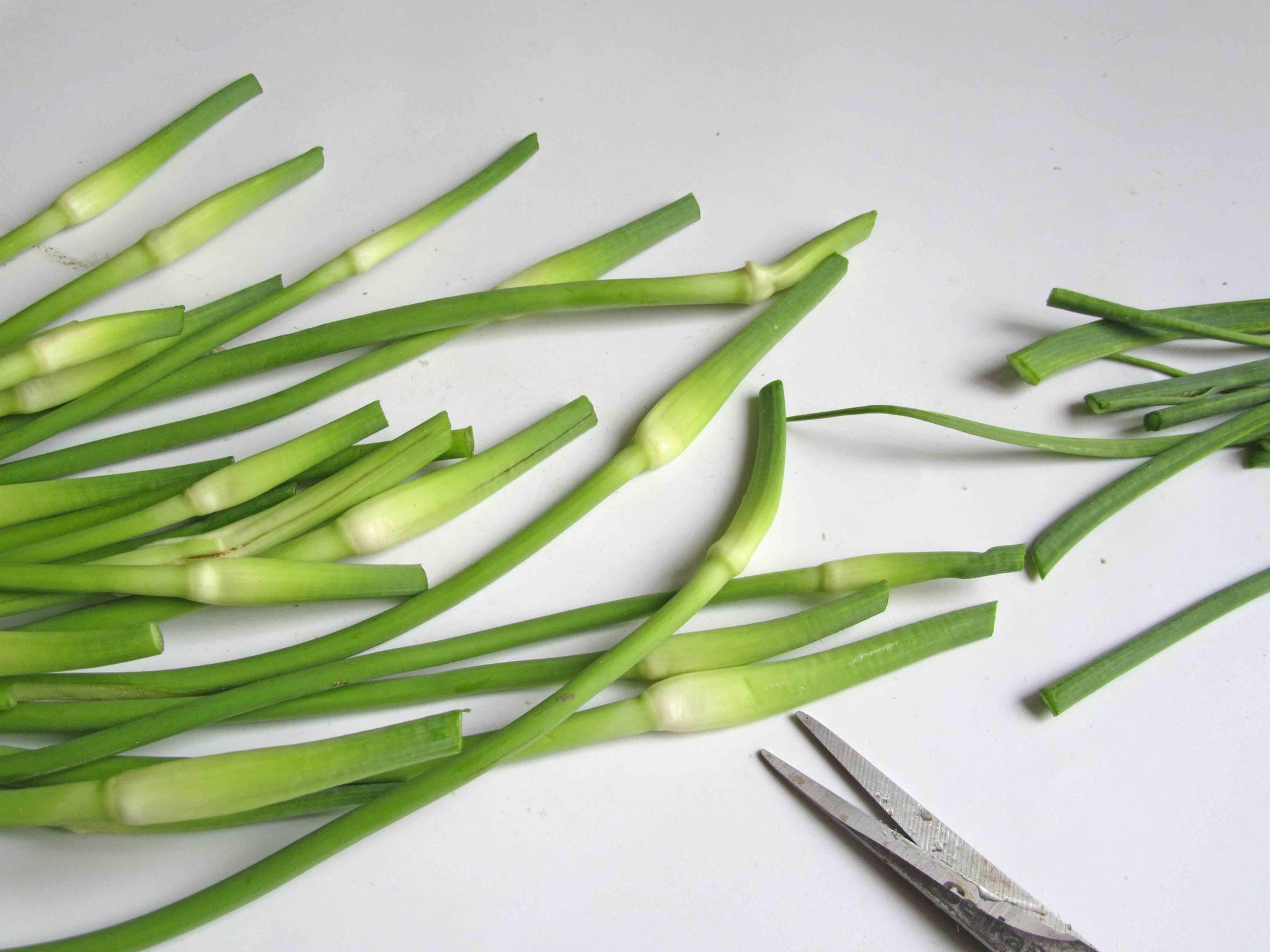 花4块钱买一把蒜薹,巧做2道菜,却能吃上几天,快来试试!