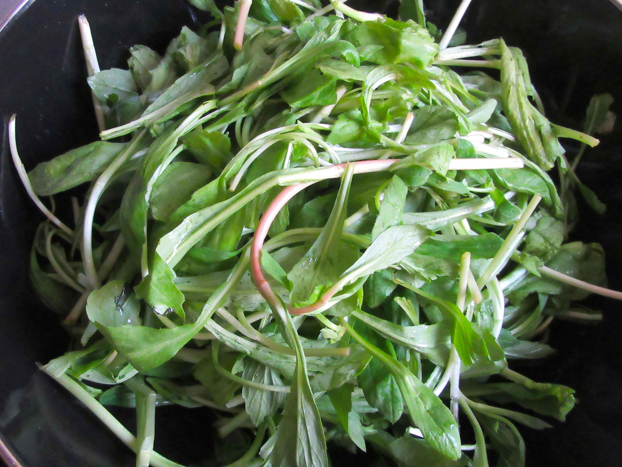 春天来吃点这菜它不仅是好吃的野菜还是药对痔疮治疗有好处