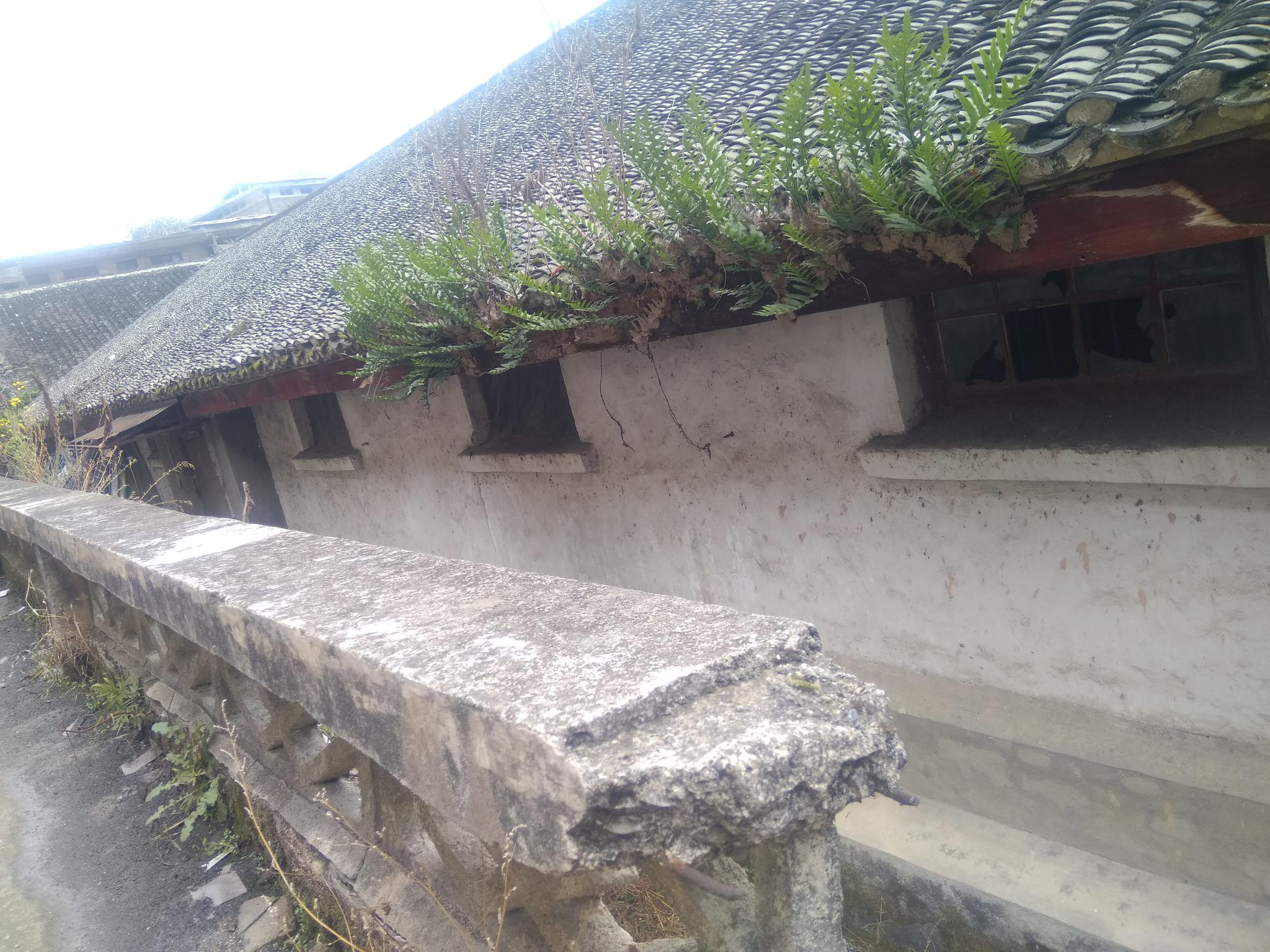 残垣断壁思州府,桃花依旧笑春风