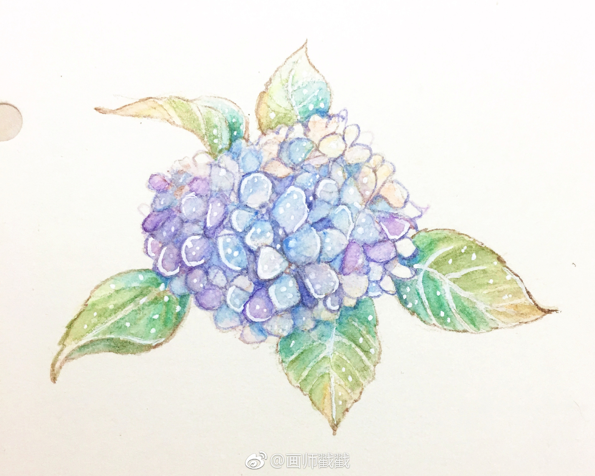 有木有喜欢用水溶彩铅画小花朵的小画家