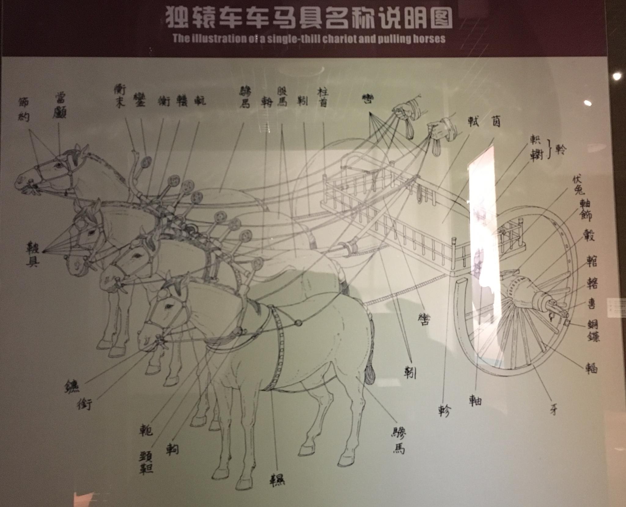 洛阳游亲子游:参观天子驾六博物馆,理解孔乙己为什么坚持穿长衫