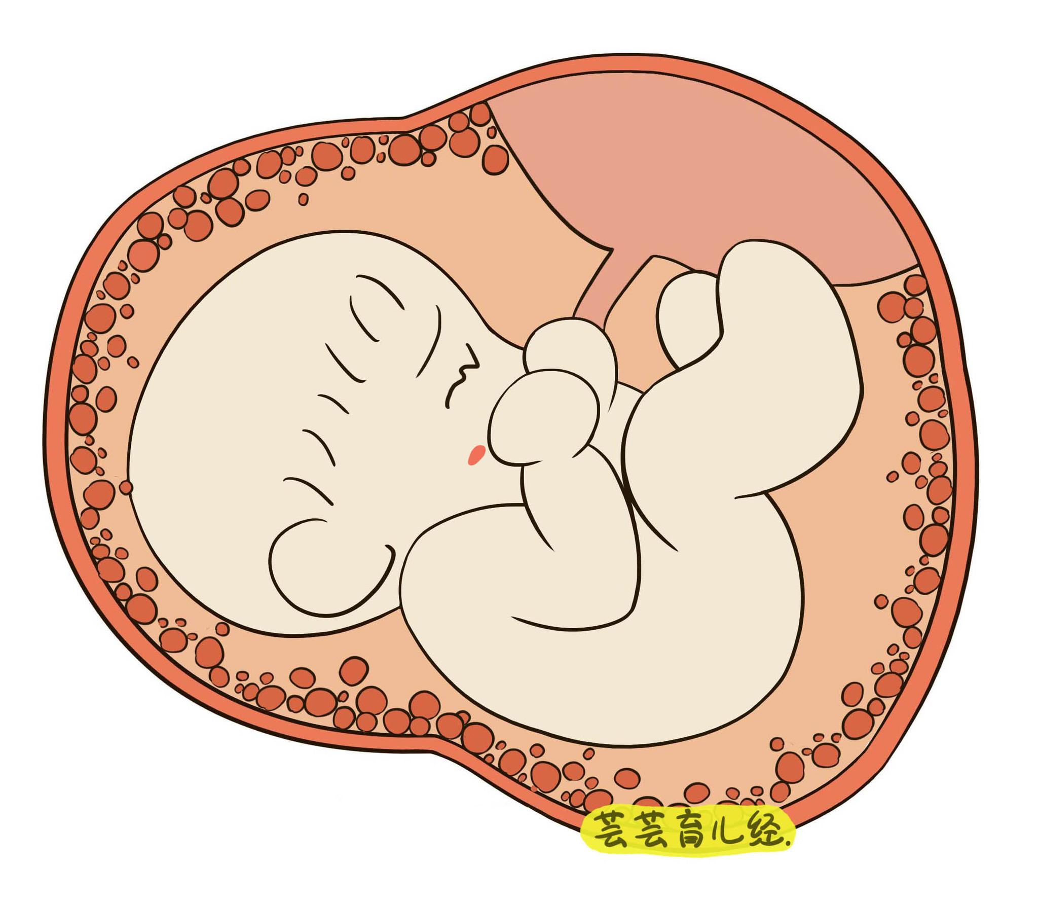 孕晚期破水后胎儿就真的危险吗?先别着急,看看这应急措施