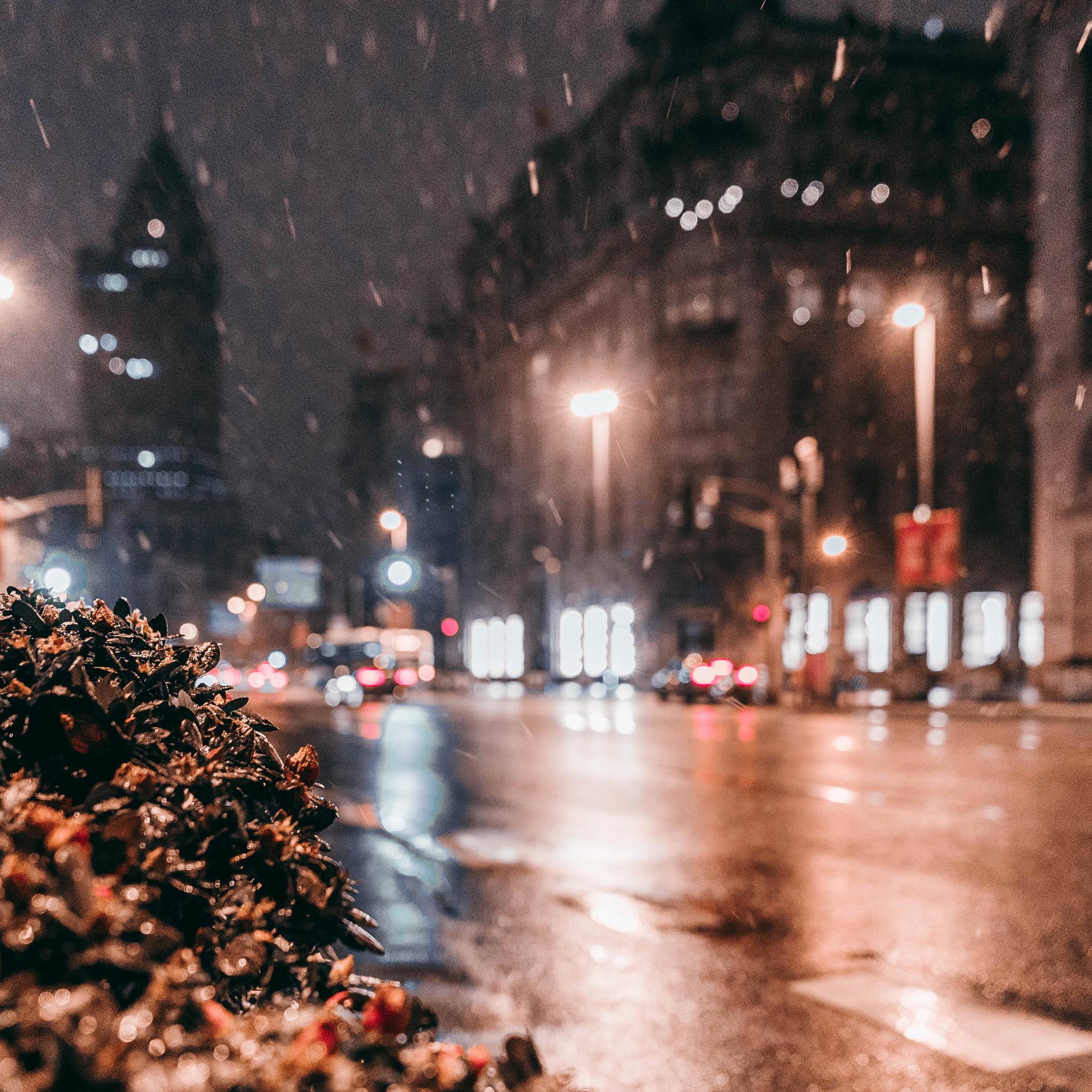 你在的城市下雪了吗|城市|下雪_新浪新闻