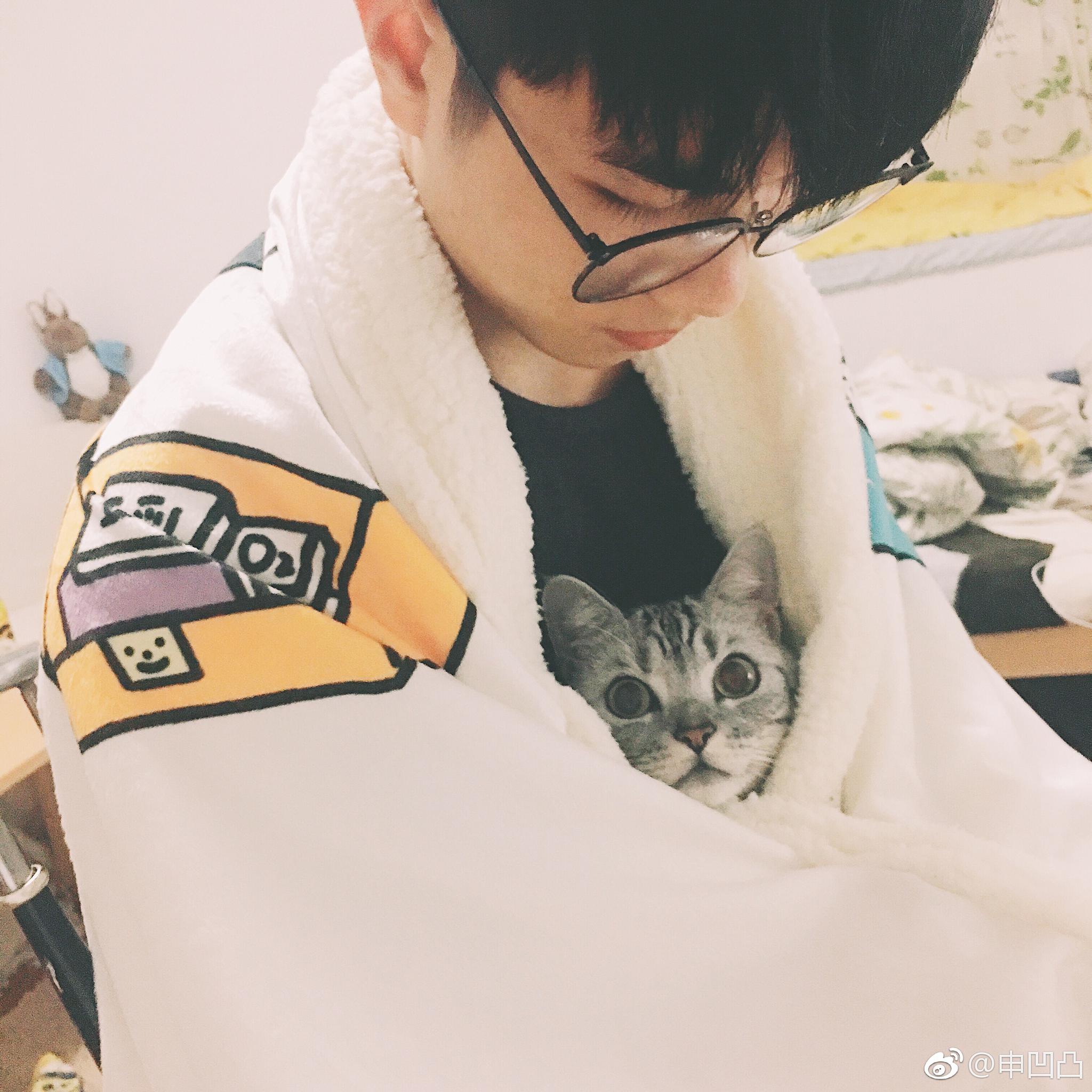 又来骗你们养猫了ʘʚʘ