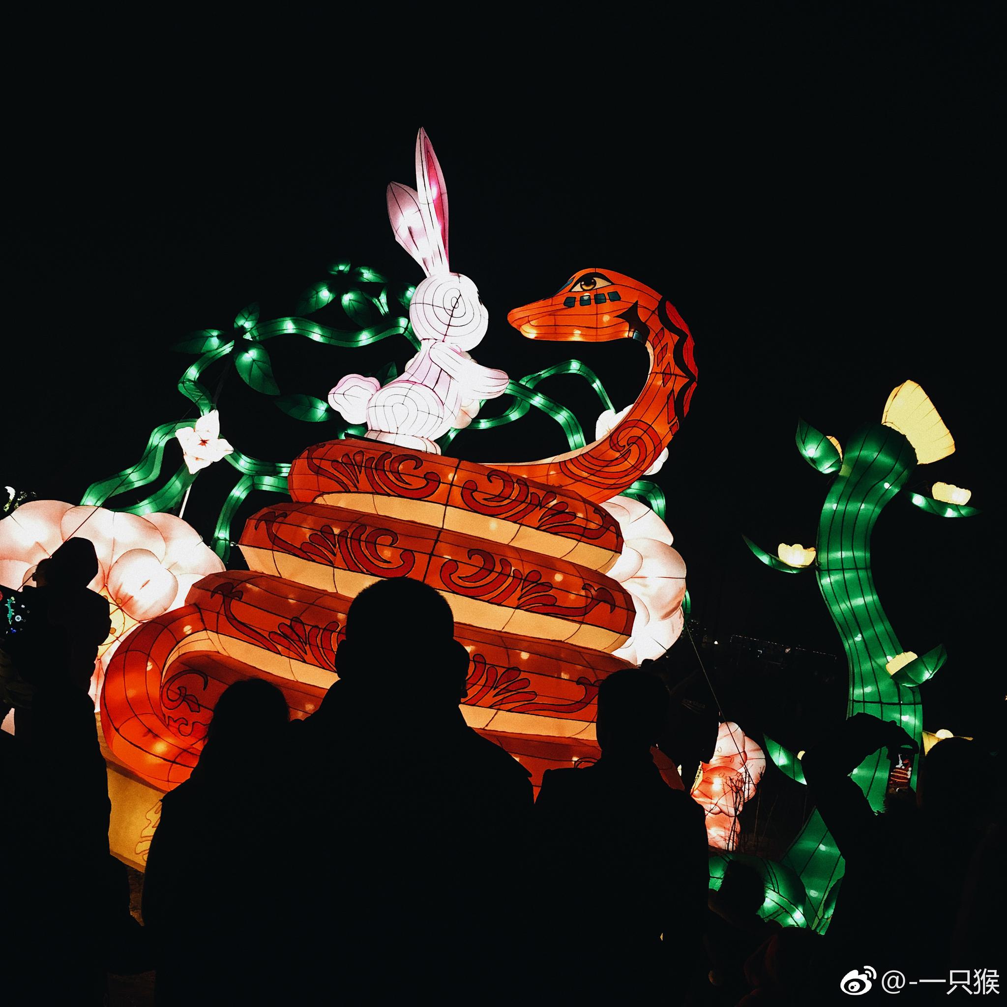 🏮中国年-花灯(二) 🏮_新浪新闻