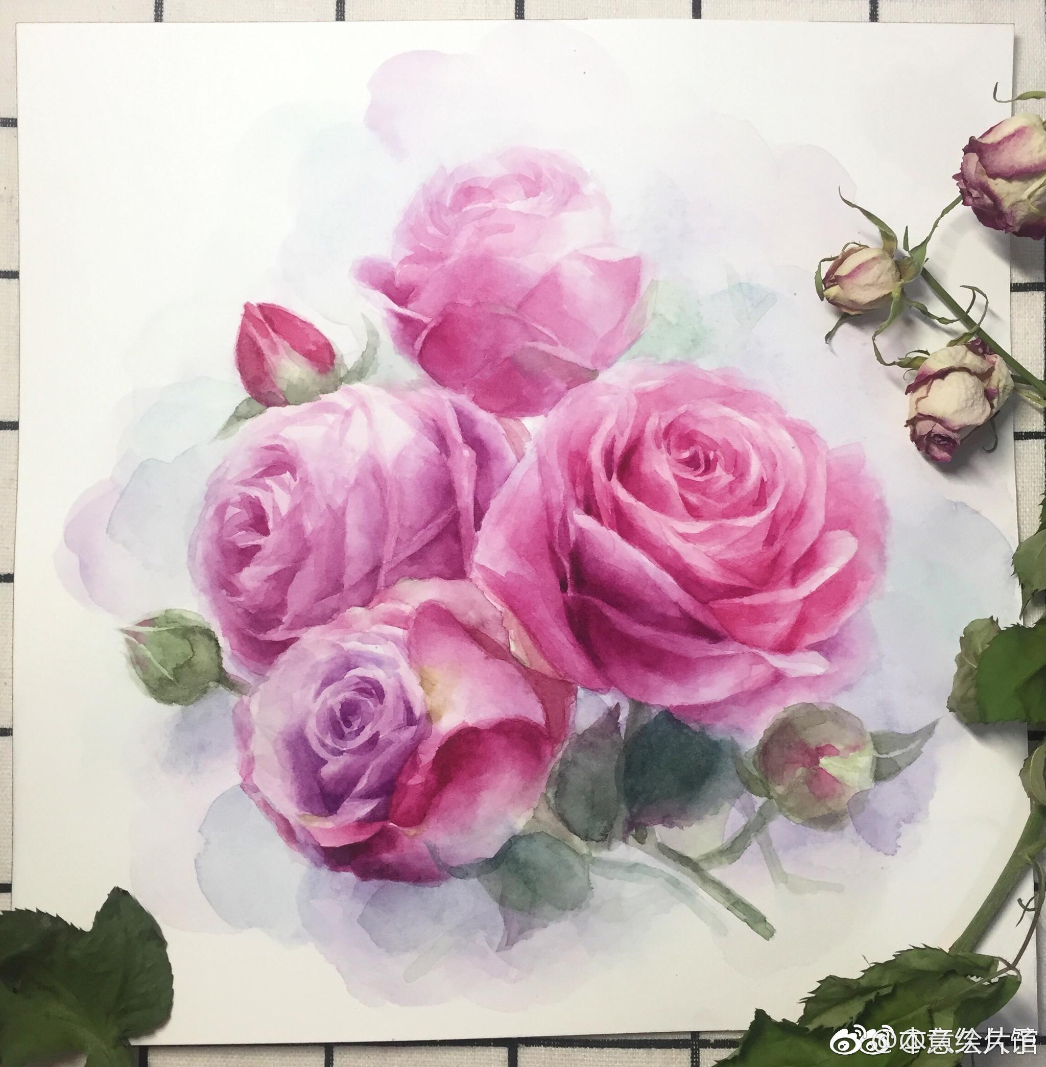 紫色月季过程图分享 | 绘画