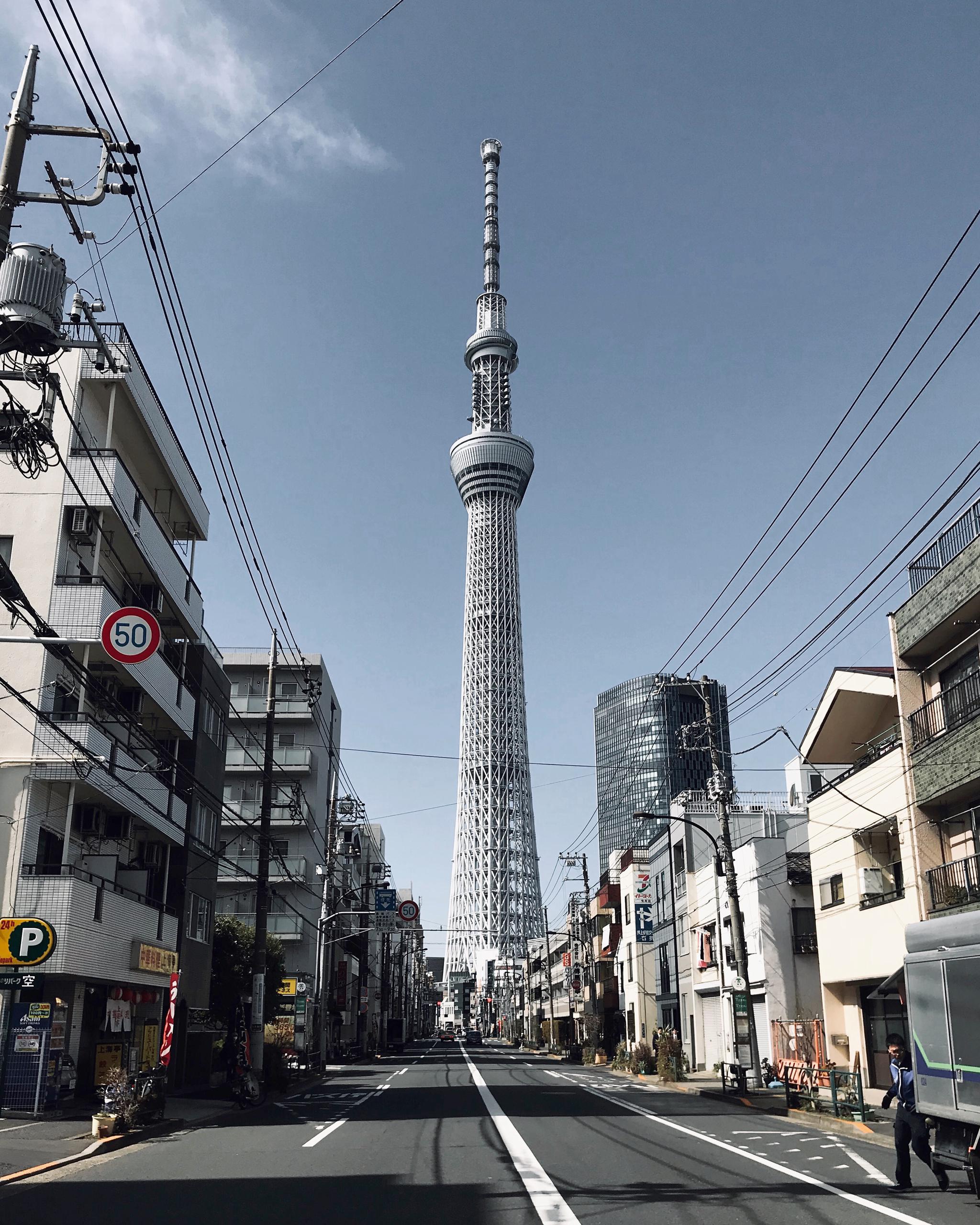 京都-东京-富士by phone|富士|京都|东京_新浪新闻