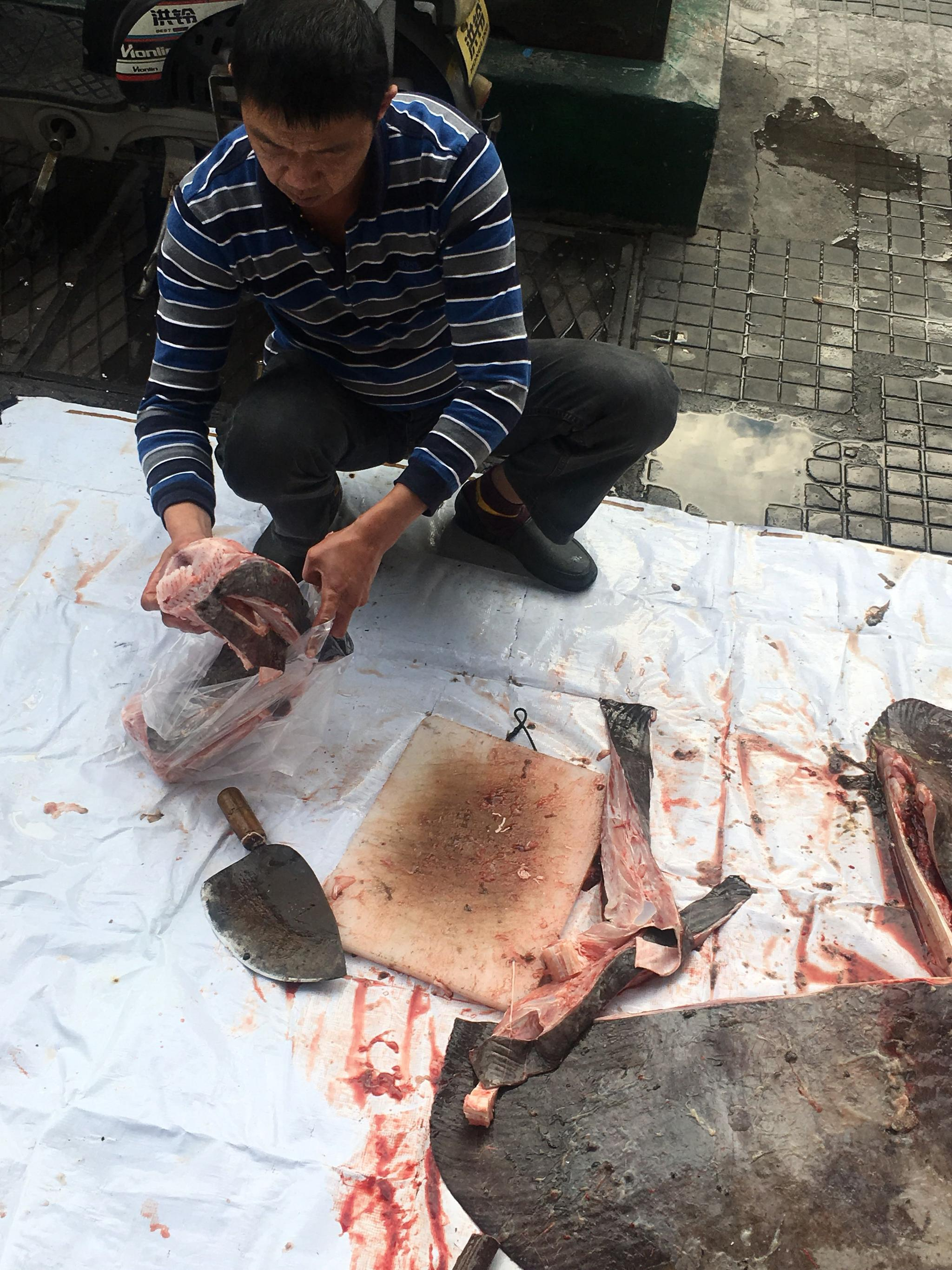 天啊,原来魔鬼鱼是这样子被杀的,好怕怕