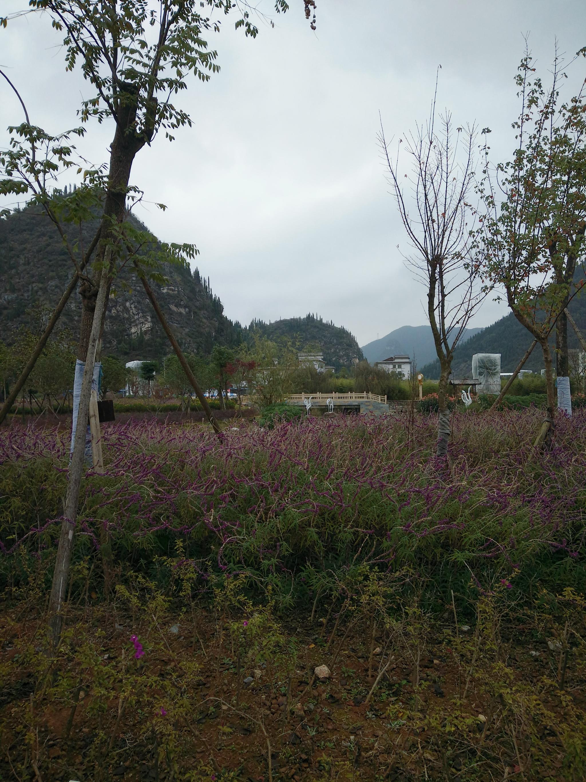 黔西南兴仁屯脚风光景秀气候宜人美女舞蹈