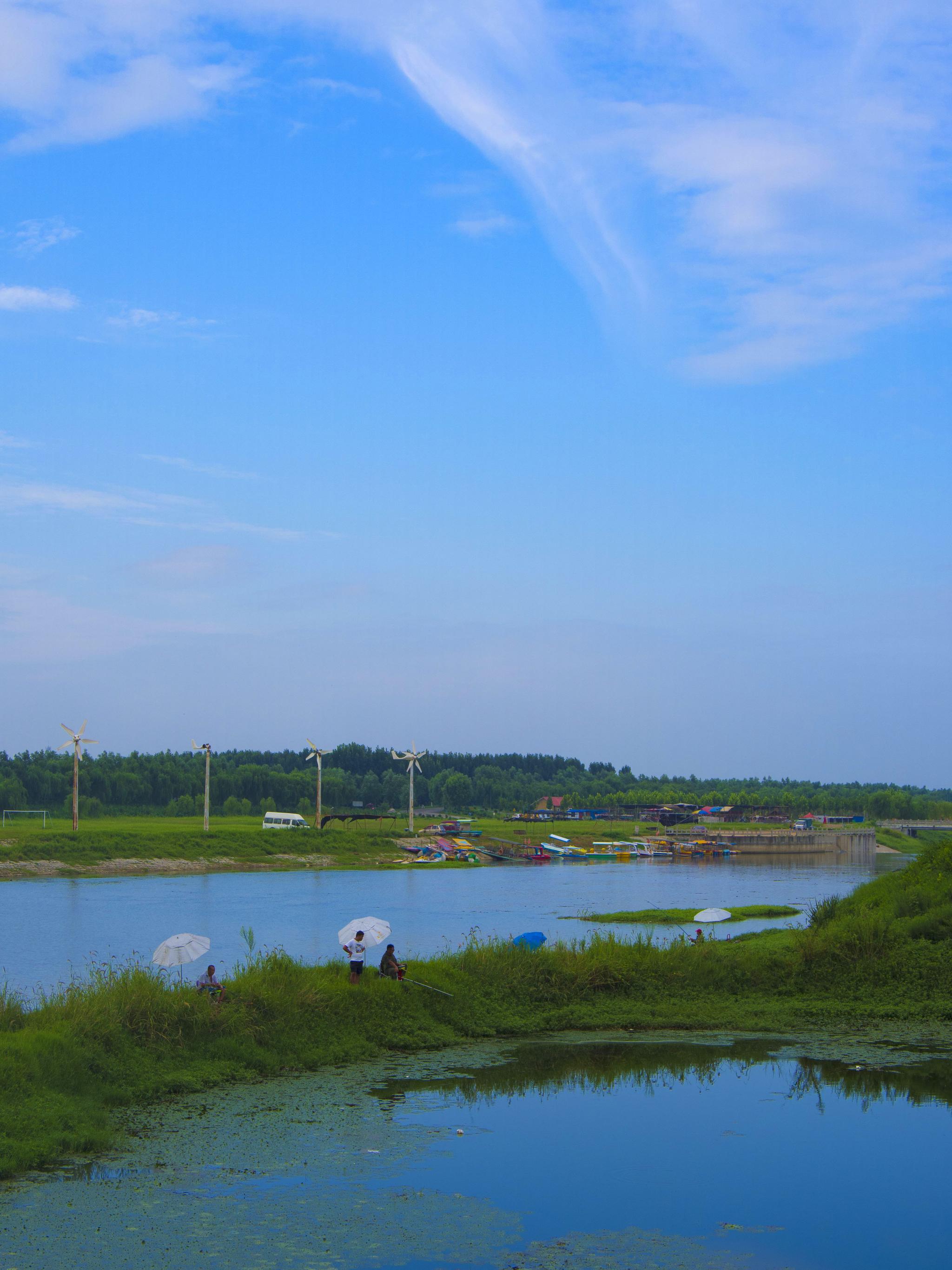 秀美荆河,上善公园夏日