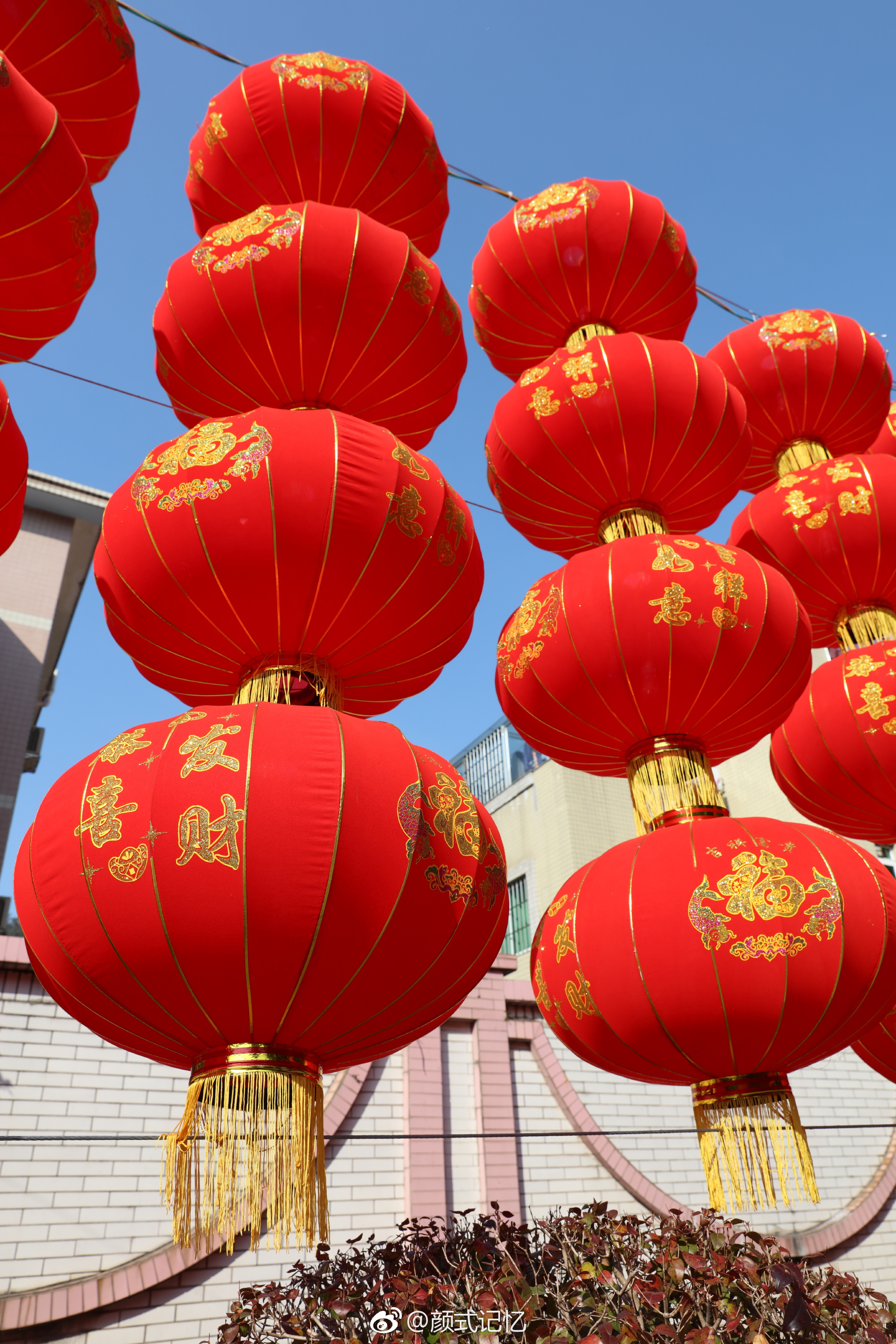 分享图片:年,年味,张扬中国红|中国红|张扬|图片_新浪新闻