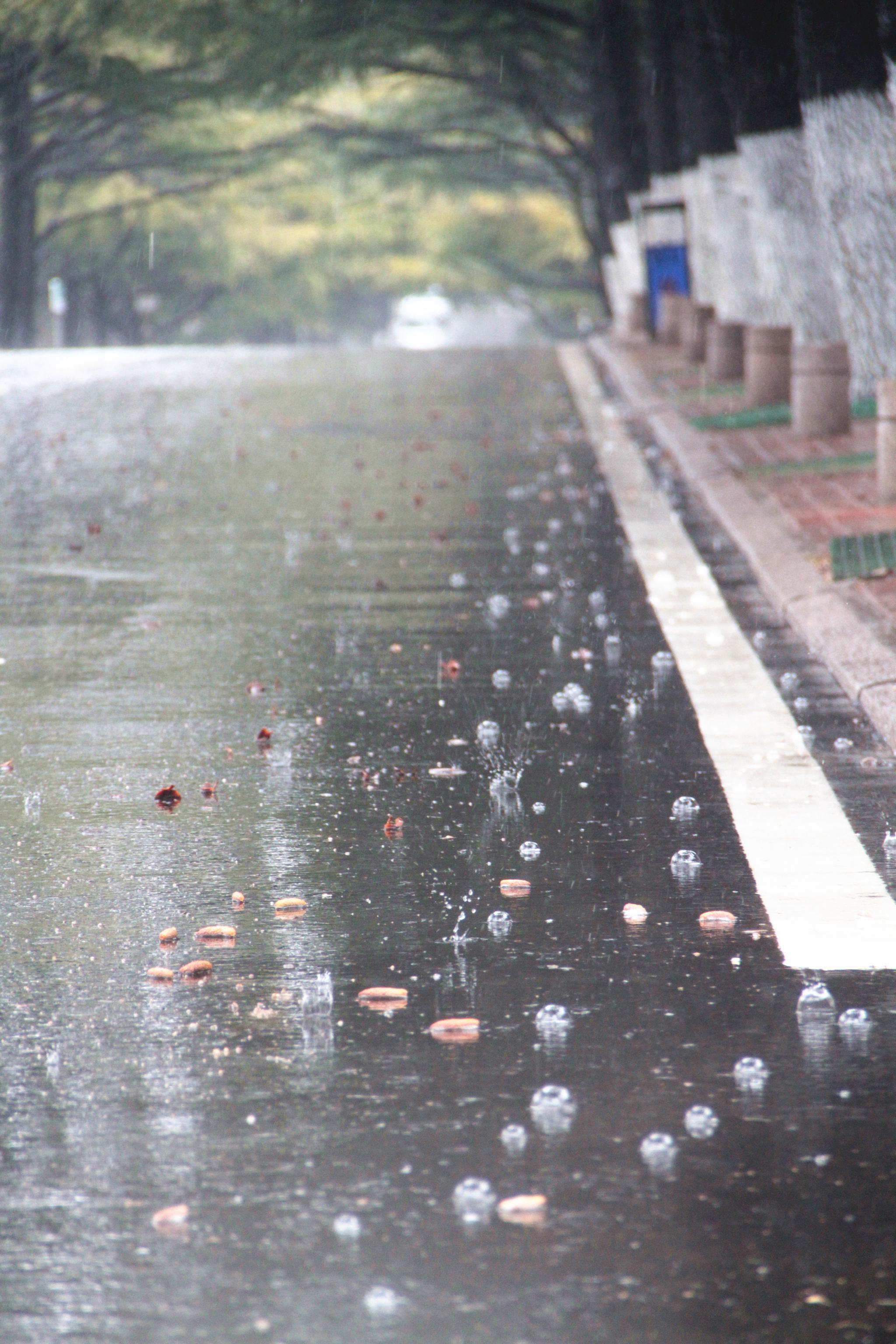 青島陣陣春雷迎驚蟄,雨中八大關美到極致