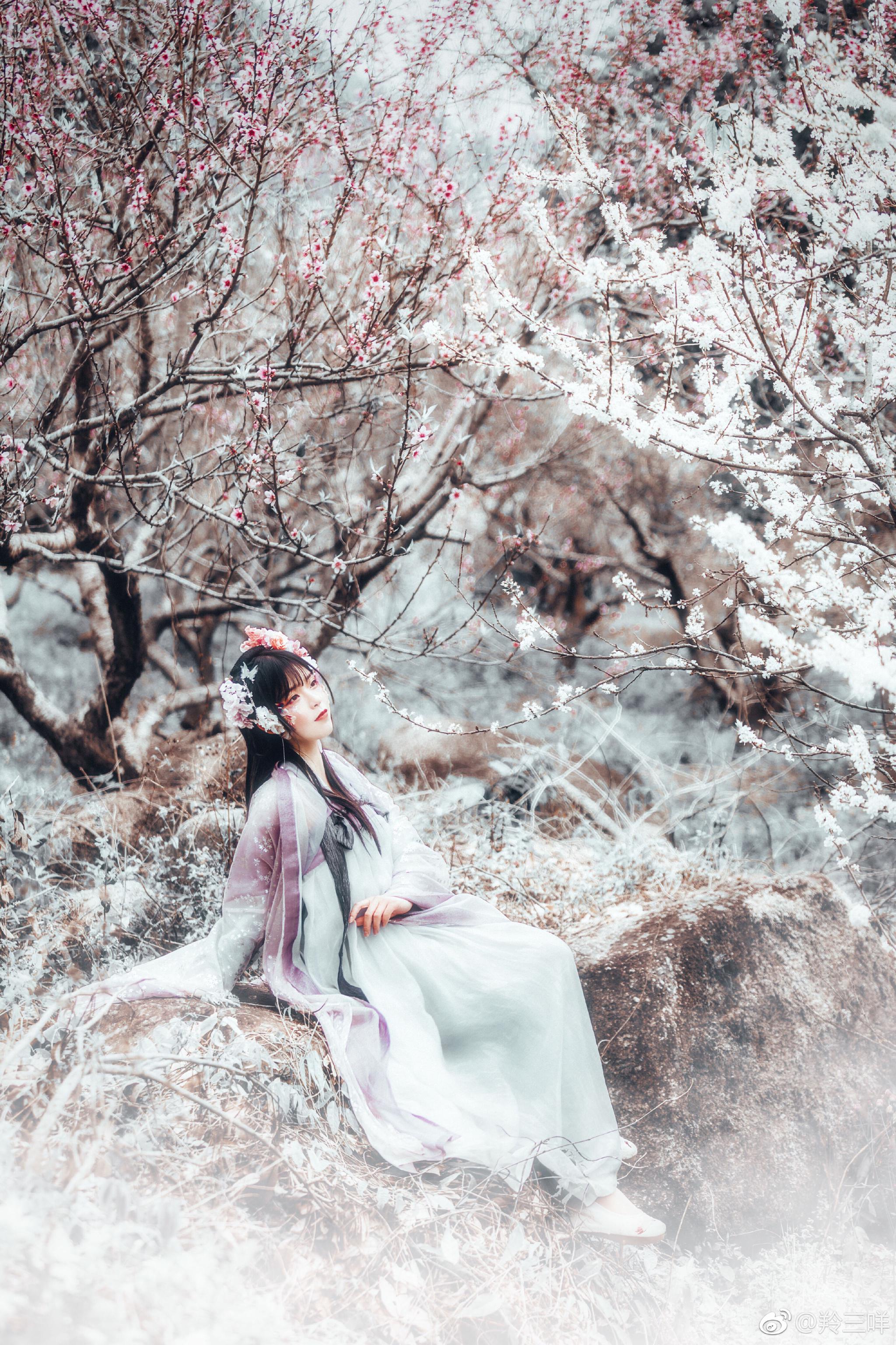 鶯囀弱枝新葉暗青房晚 , 花明玉井春方知有靈干 , 特用表真人 67