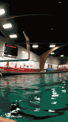 老外跳水失误集锦,噗哈哈哈哈